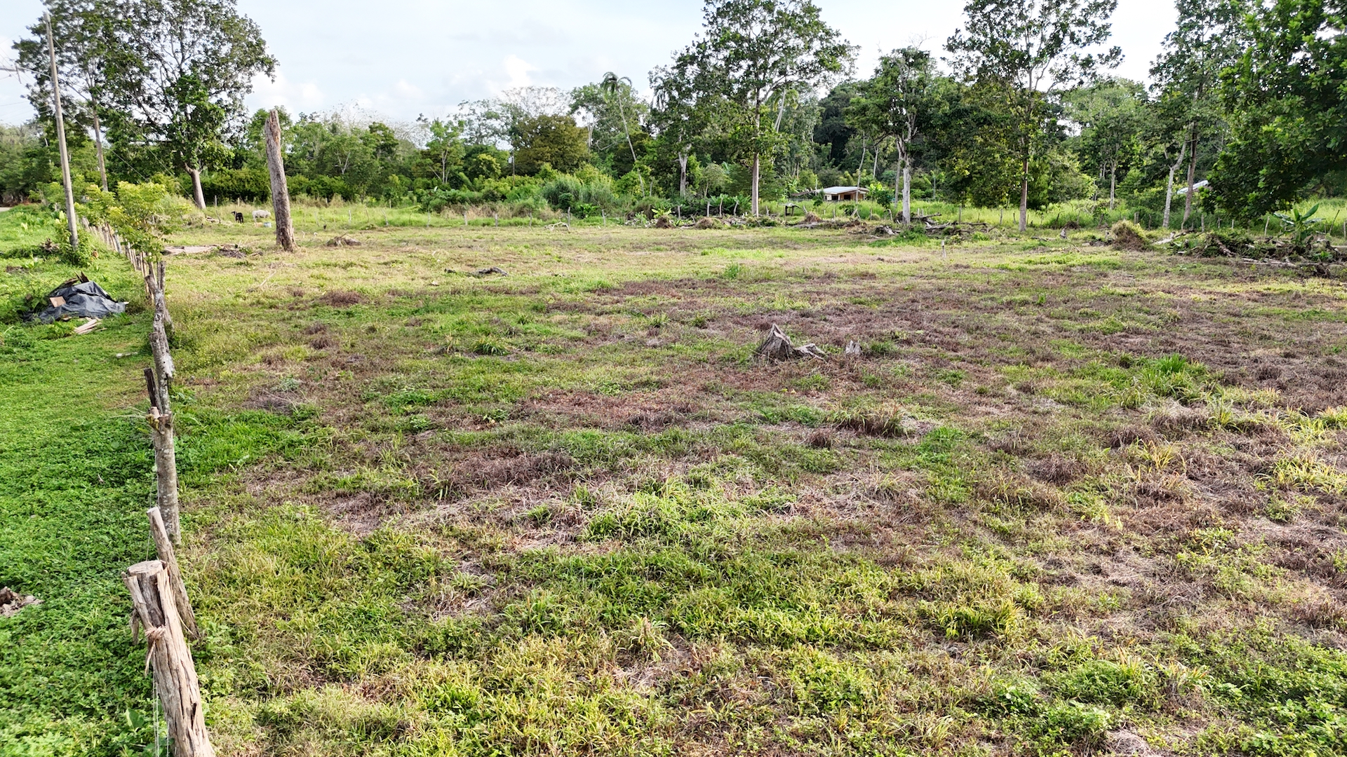 0 bed Land For Sale in Ojochal, Puntarenas - thumb 7