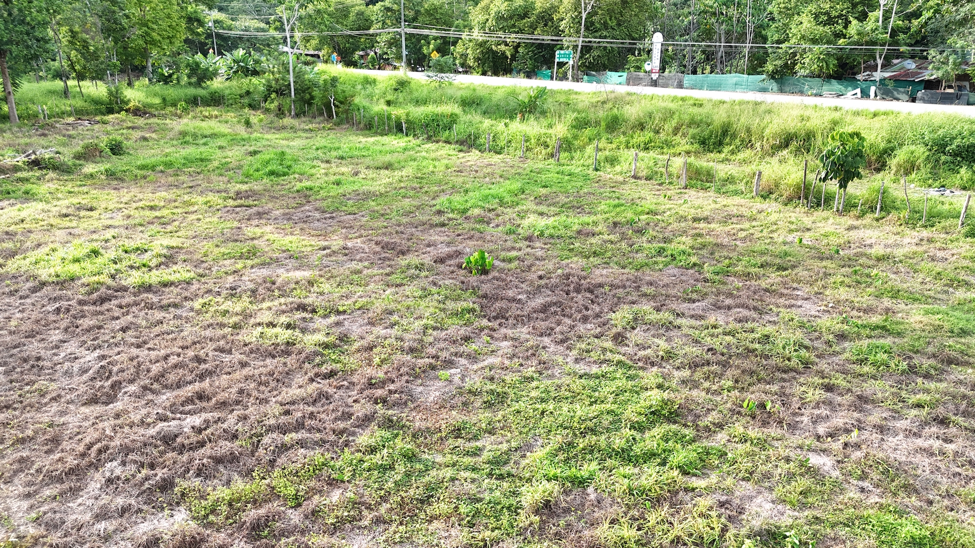 0 bed Land For Sale in Ojochal, Puntarenas - thumb 6