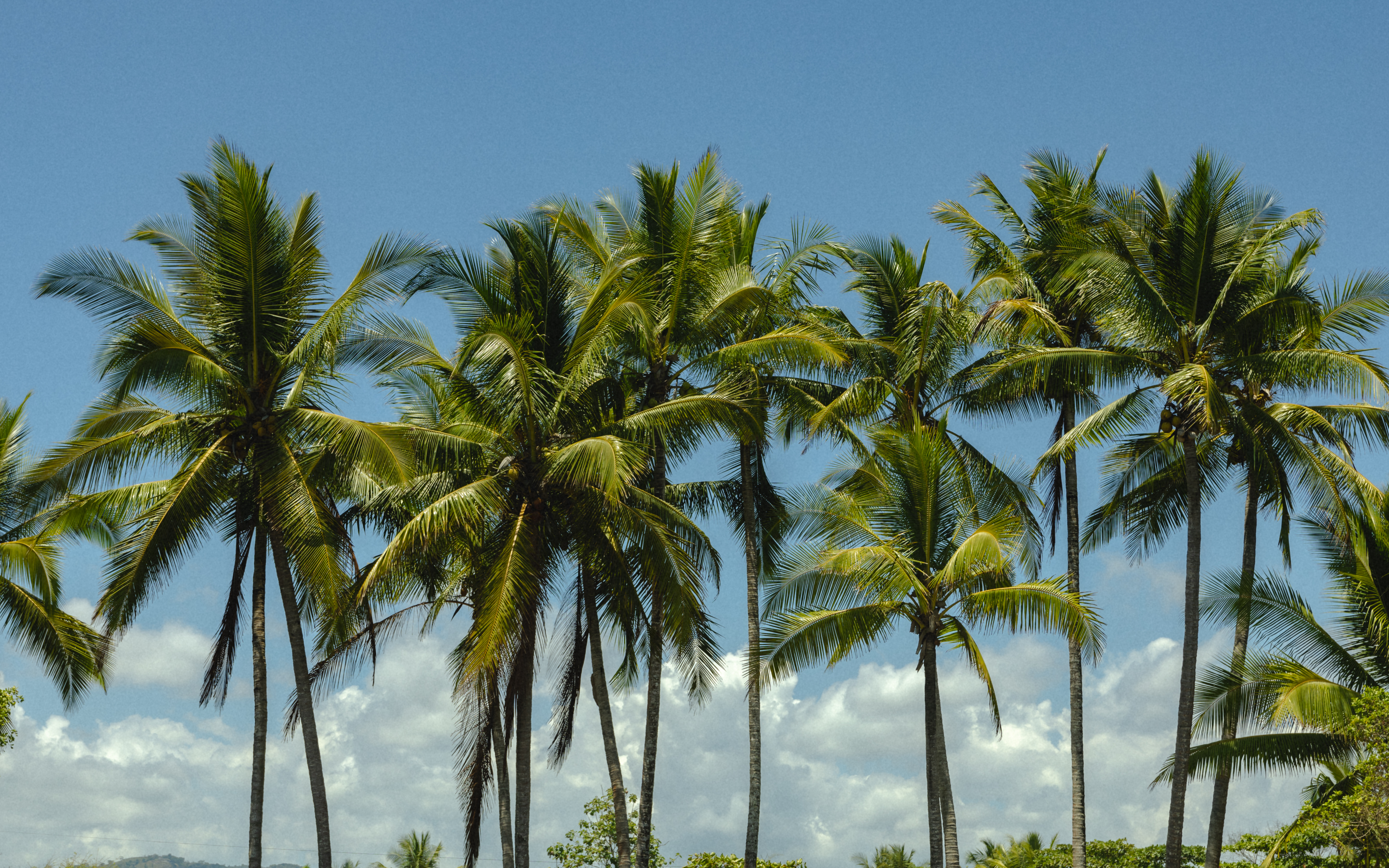 3 bed Single Family Homes For Sale in Jaco, Puntarenas - thumb 17