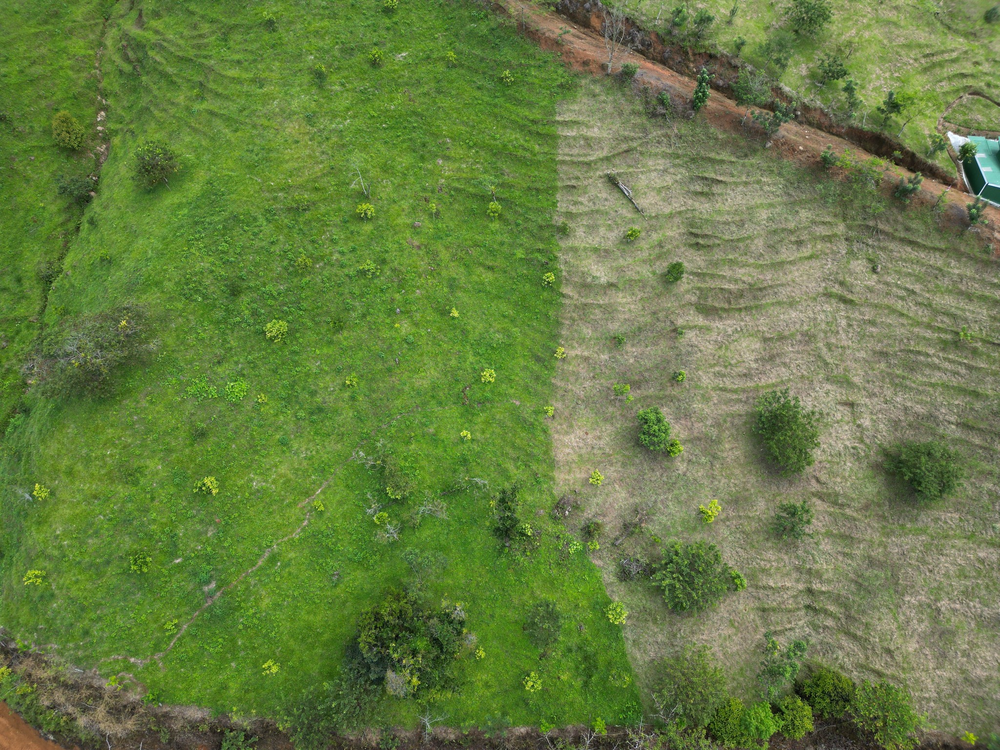 4 bed Land For Sale in Perez Zeledon, San Jose - thumb 12