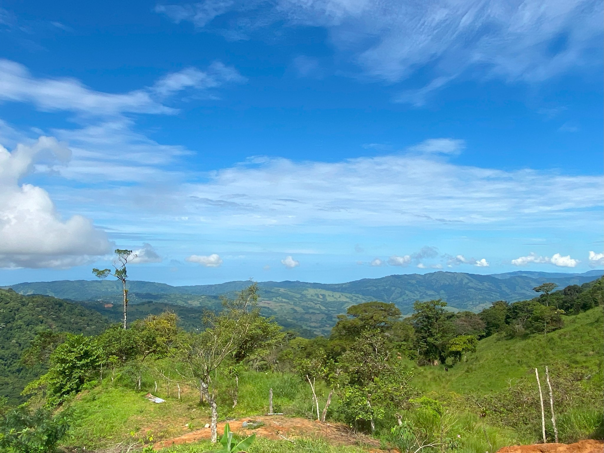 4 bed Land For Sale in Perez Zeledon, San Jose - thumb 3
