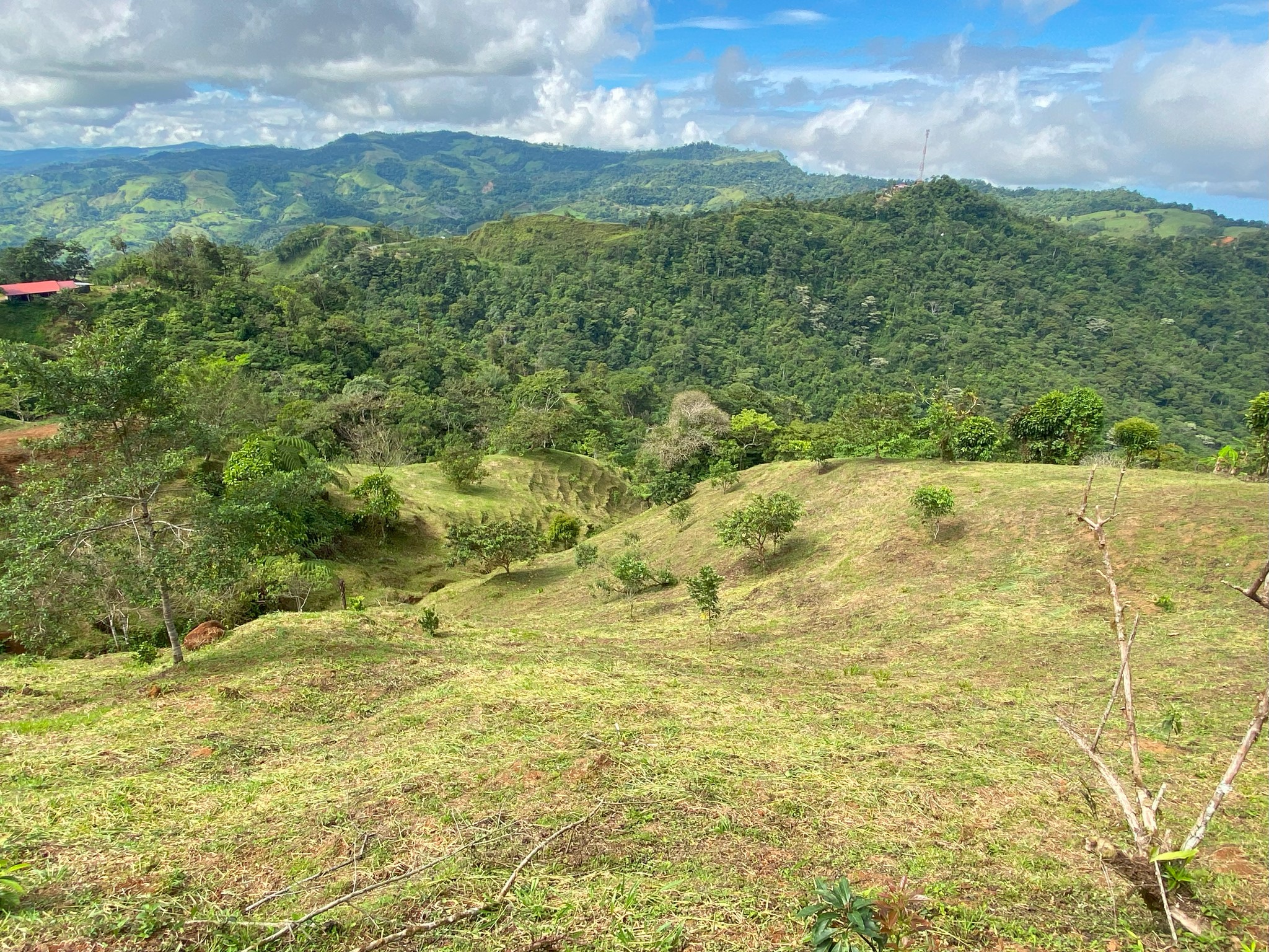 4 bed Land For Sale in Perez Zeledon, San Jose - thumb 17