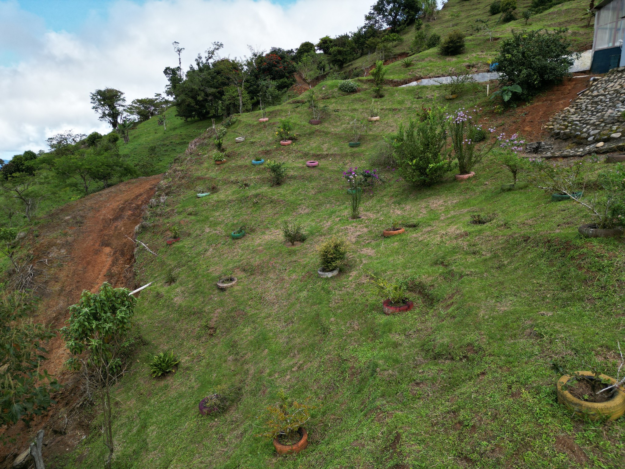 4 bed Land For Sale in Perez Zeledon, San Jose - thumb 14