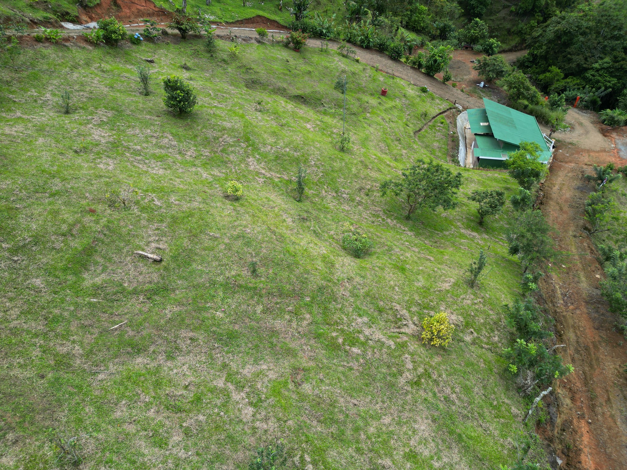 4 bed Land For Sale in Perez Zeledon, San Jose - thumb 16