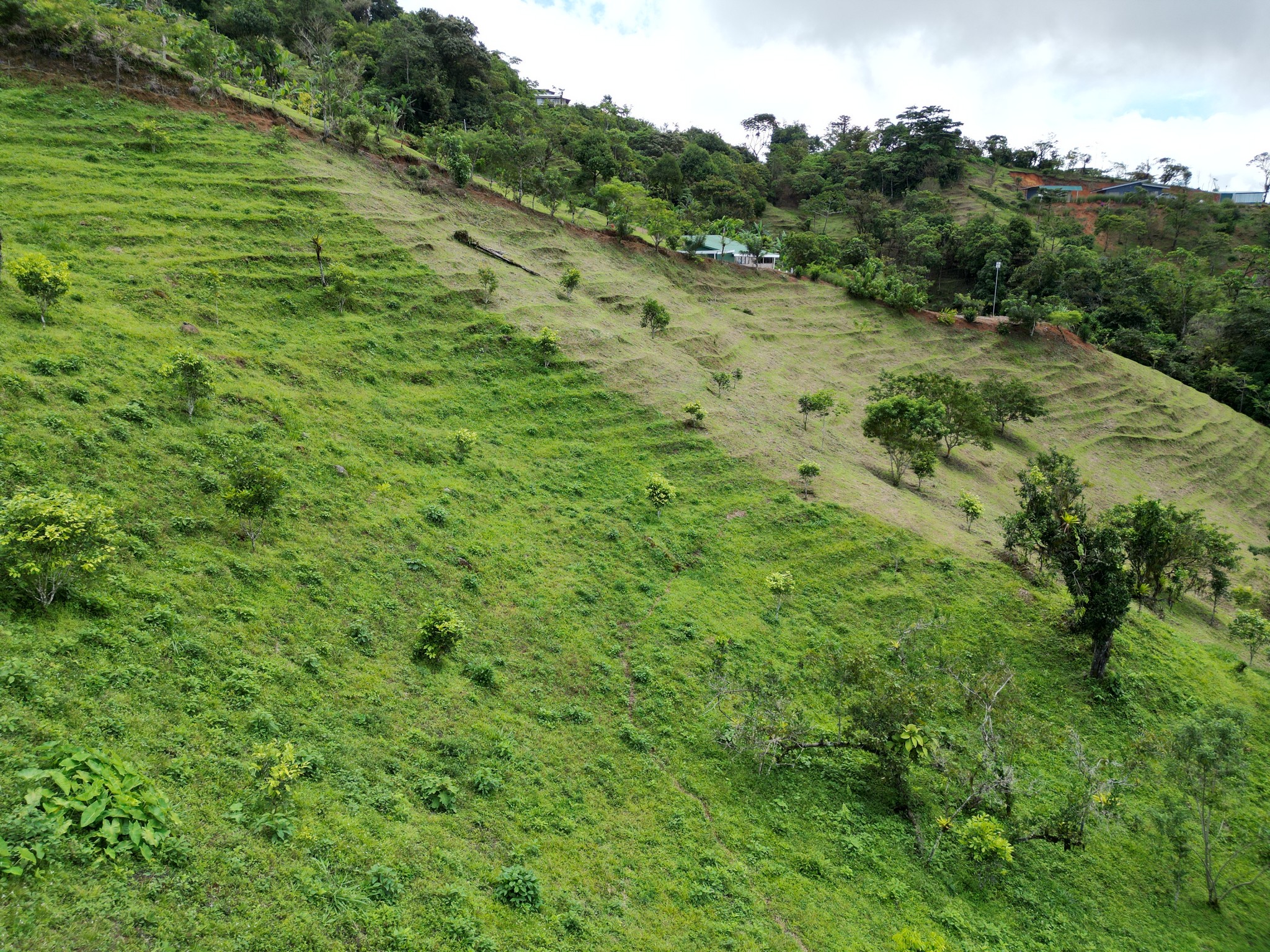 4 bed Land For Sale in Perez Zeledon, San Jose - thumb 15
