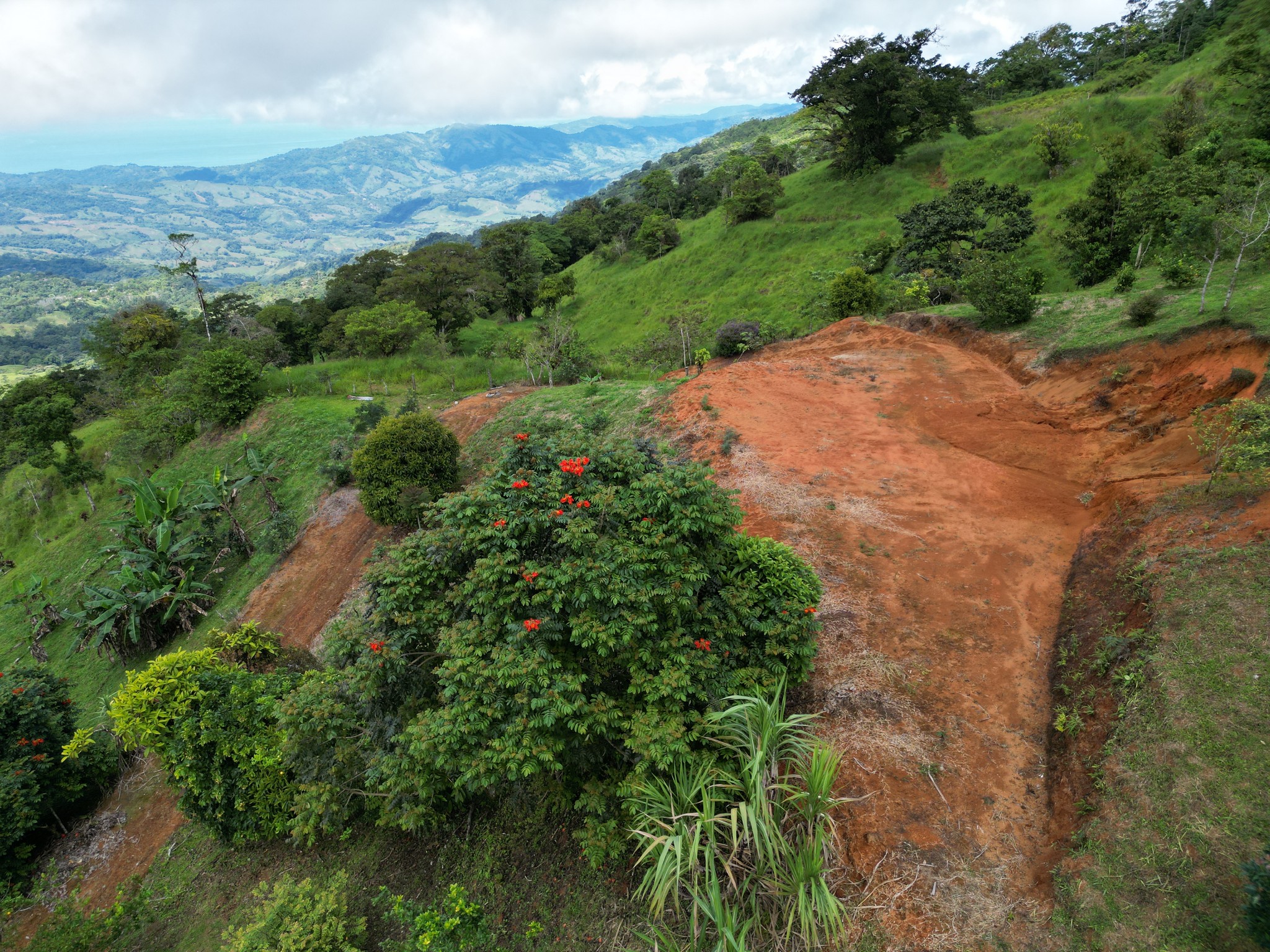 4 bed Land For Sale in Perez Zeledon, San Jose - thumb 9