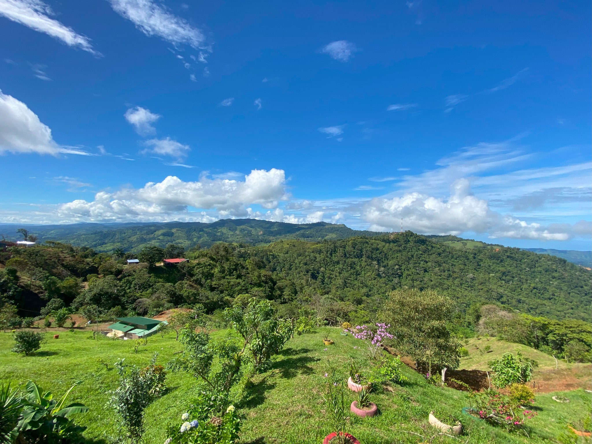 4 bed Land For Sale in Perez Zeledon, San Jose - thumb 4