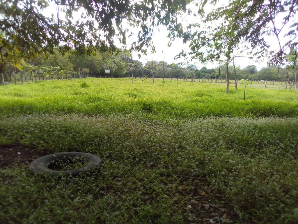 0 bed Land For Sale in Nicoya Peninsula, Guanacaste - thumb 1