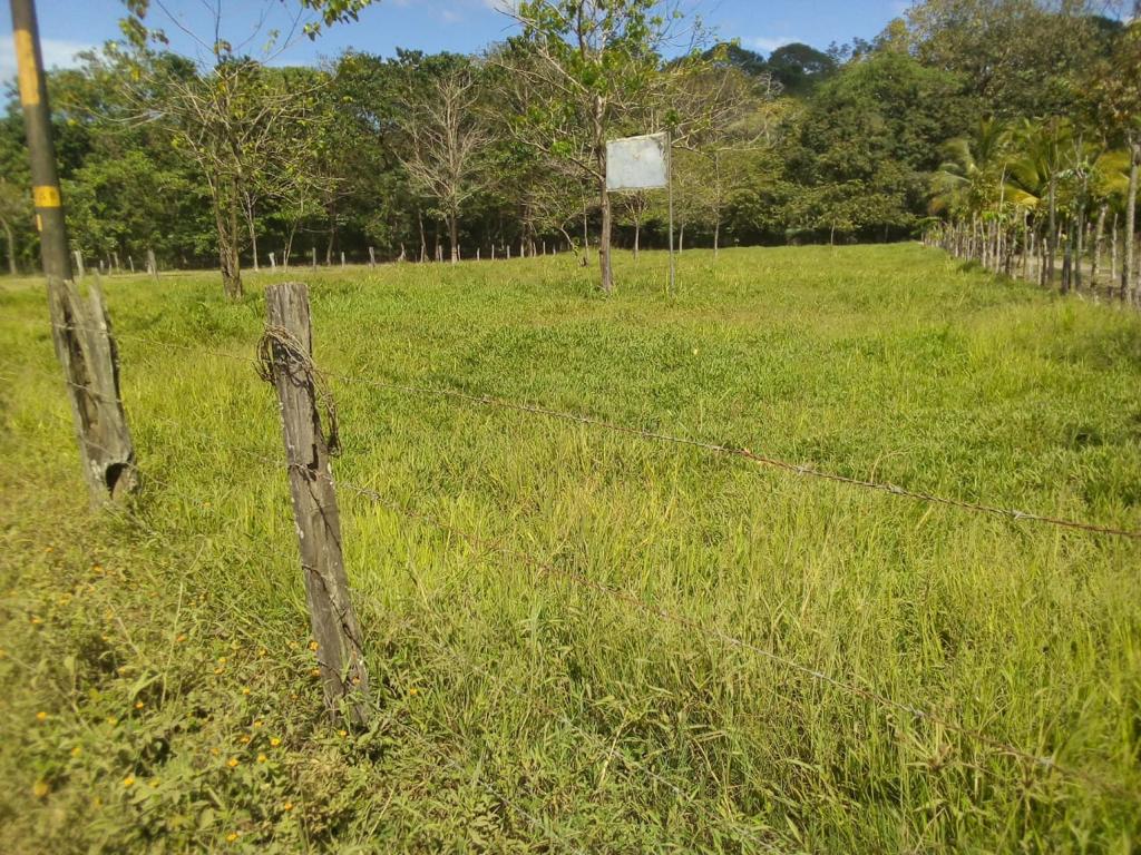 0 bed Land For Sale in Nicoya Peninsula, Guanacaste - thumb 4