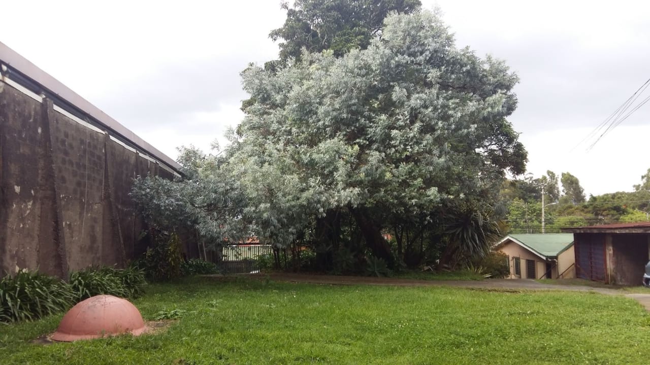 0 bed Land For Sale in Sabanilla, San Jose - thumb 6