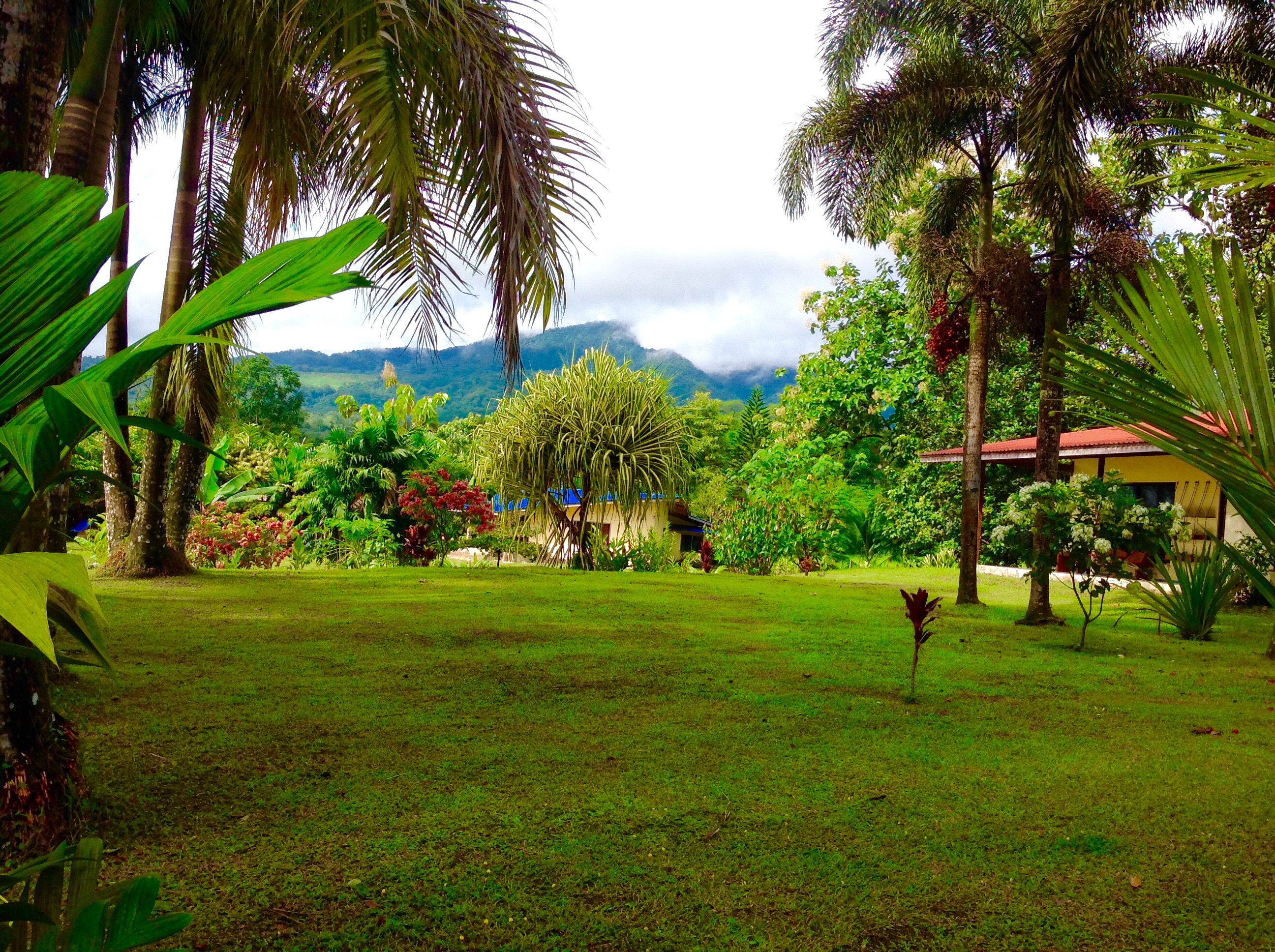 3 bed Single Family Homes For Sale in La Fortuna, Alajuela - thumb 4