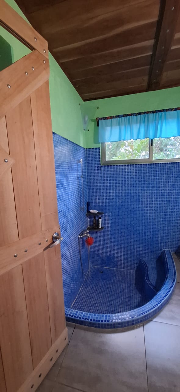 3 bed Single Family Homes For Sale in La Fortuna, Alajuela - thumb 11