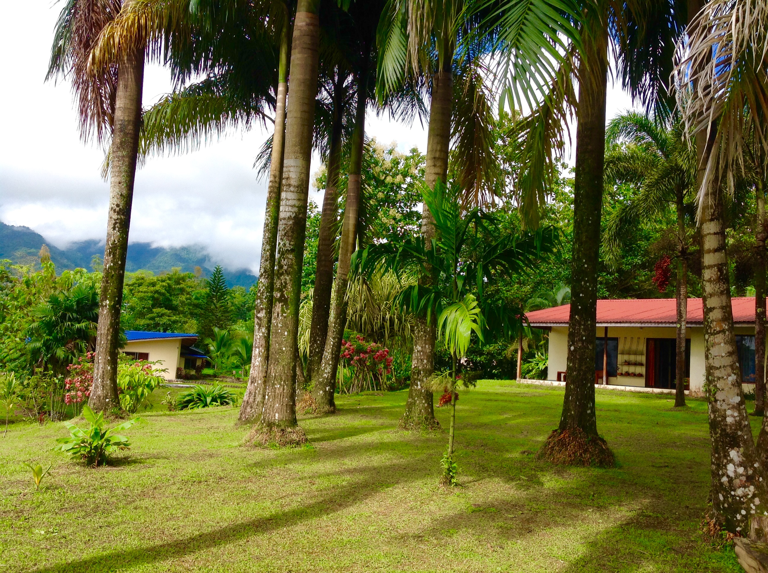 3 bed Single Family Homes For Sale in La Fortuna, Alajuela - thumb 5