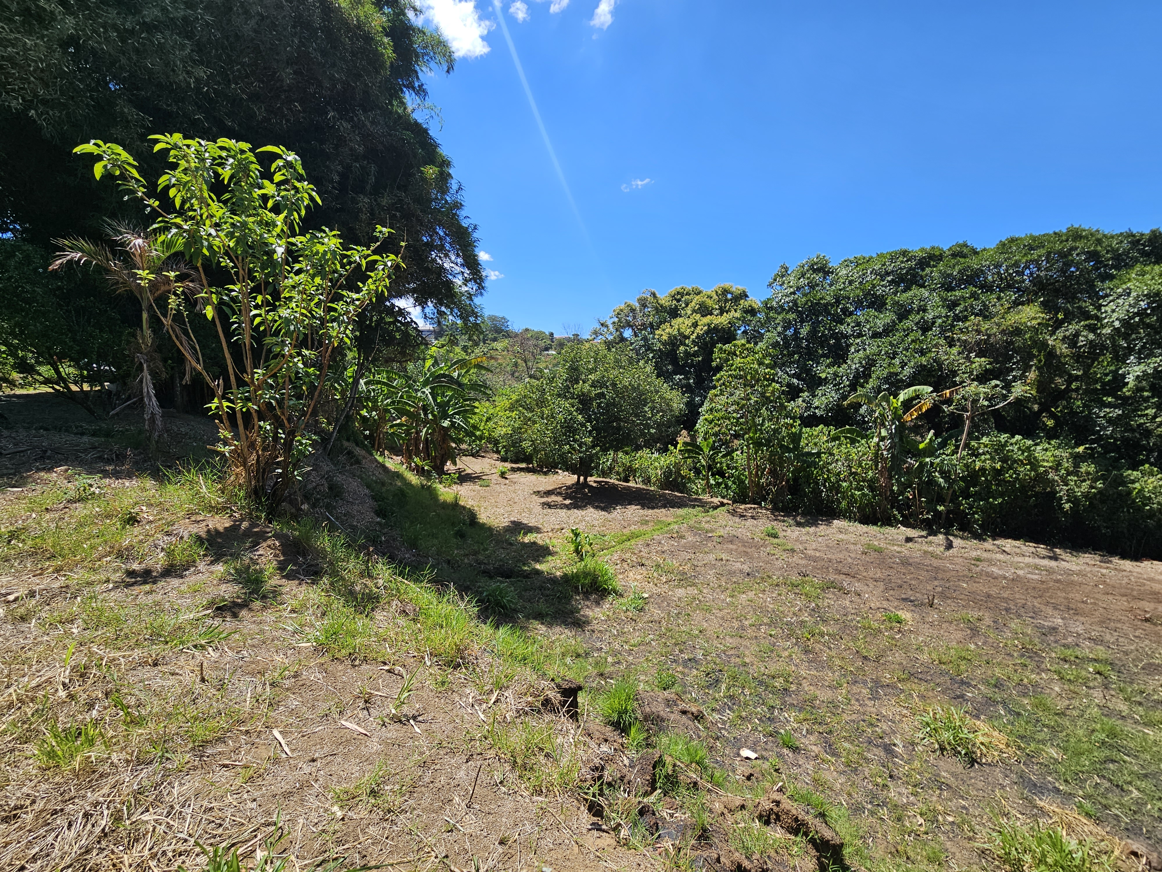1 bed Land For Sale in Grecia, Alajuela - thumb 24