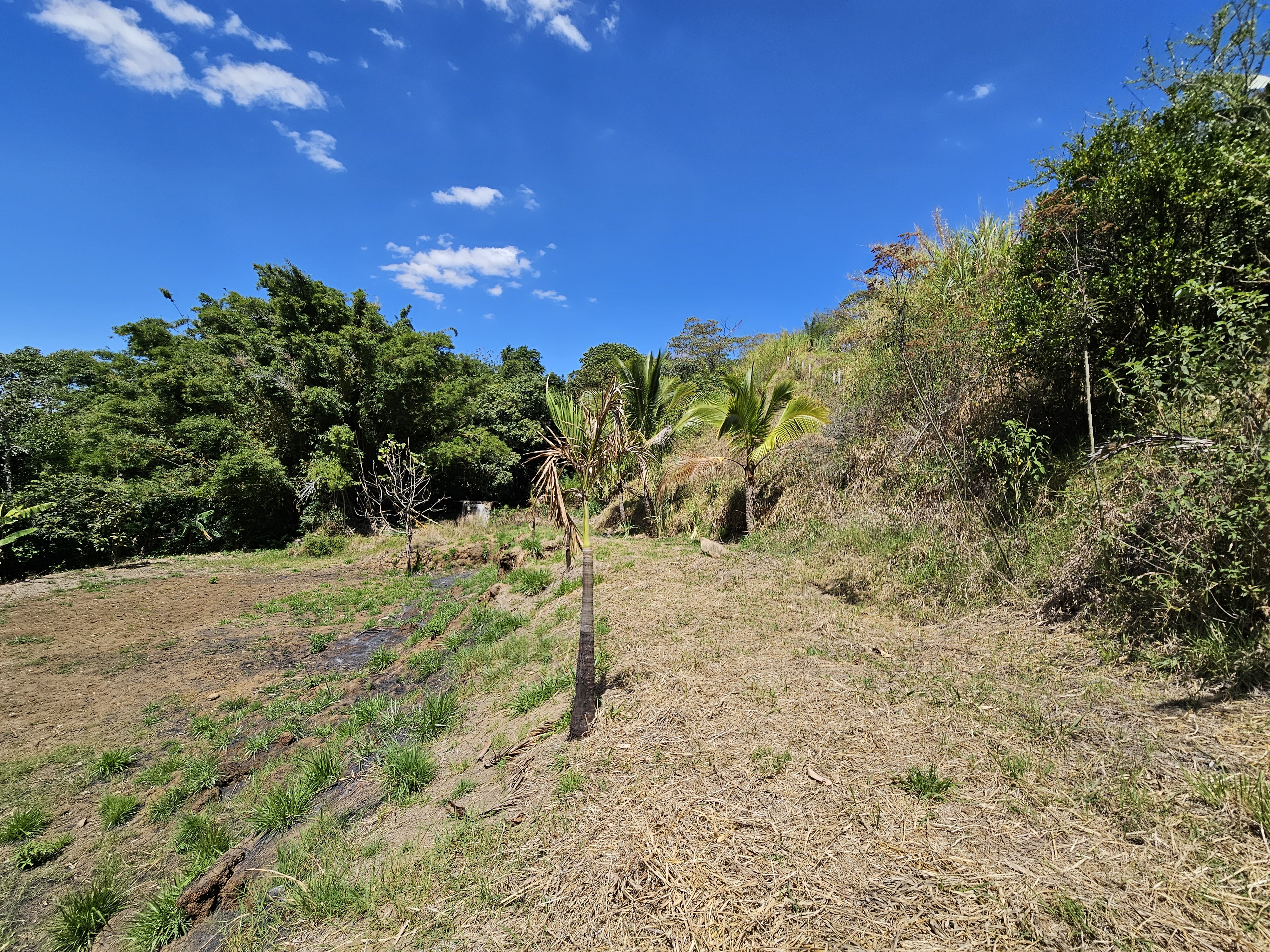 1 bed Land For Sale in Grecia, Alajuela - thumb 3