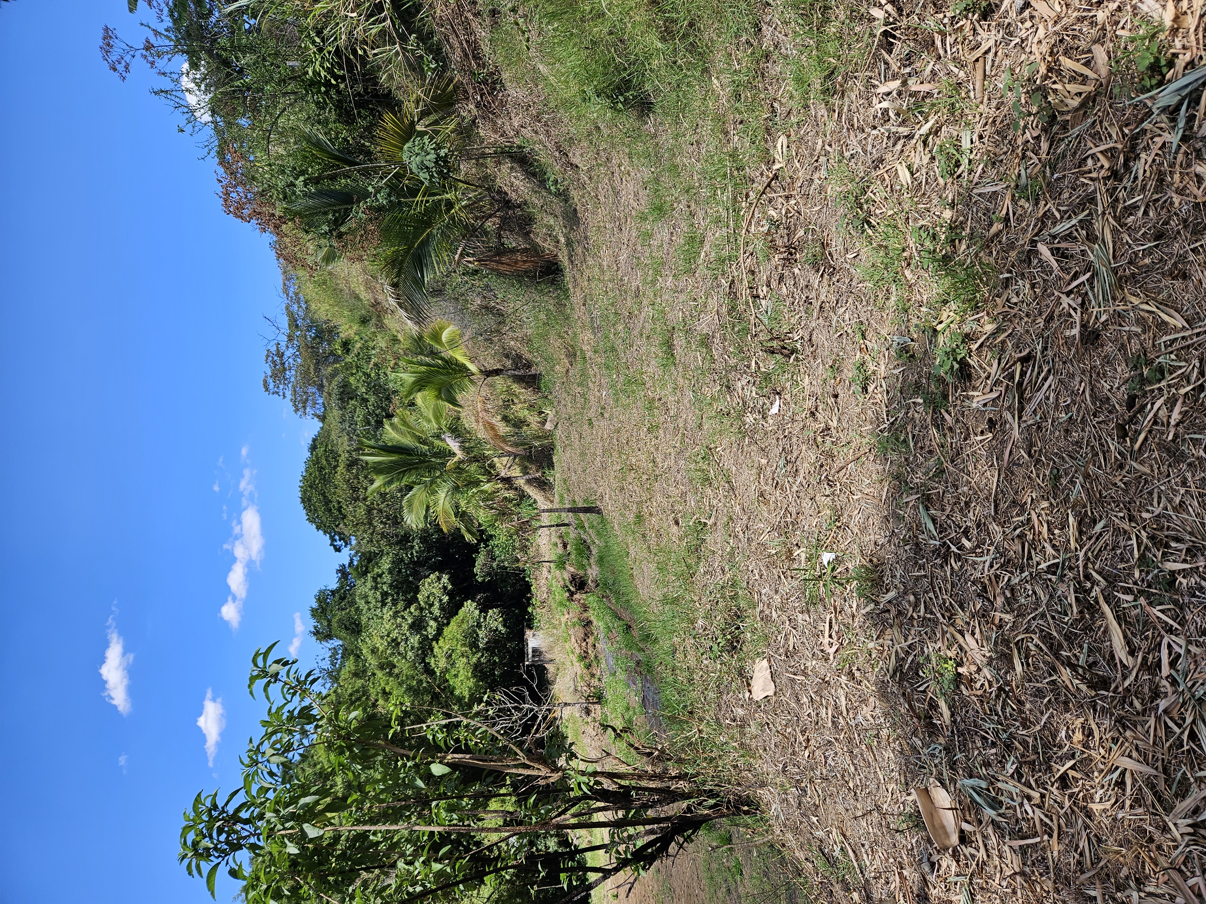 1 bed Land For Sale in Grecia, Alajuela - thumb 25