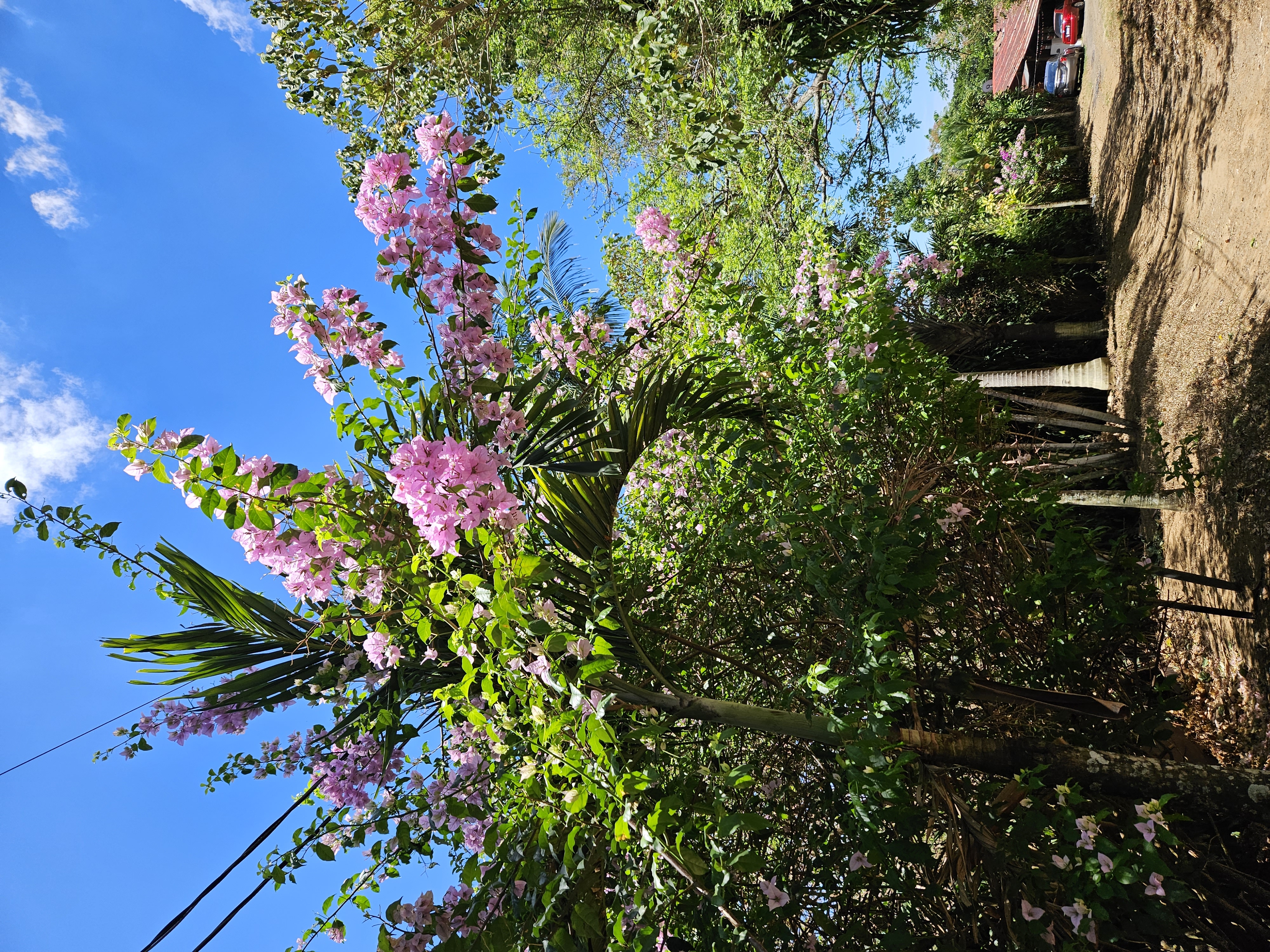 1 bed Land For Sale in Grecia, Alajuela - thumb 30