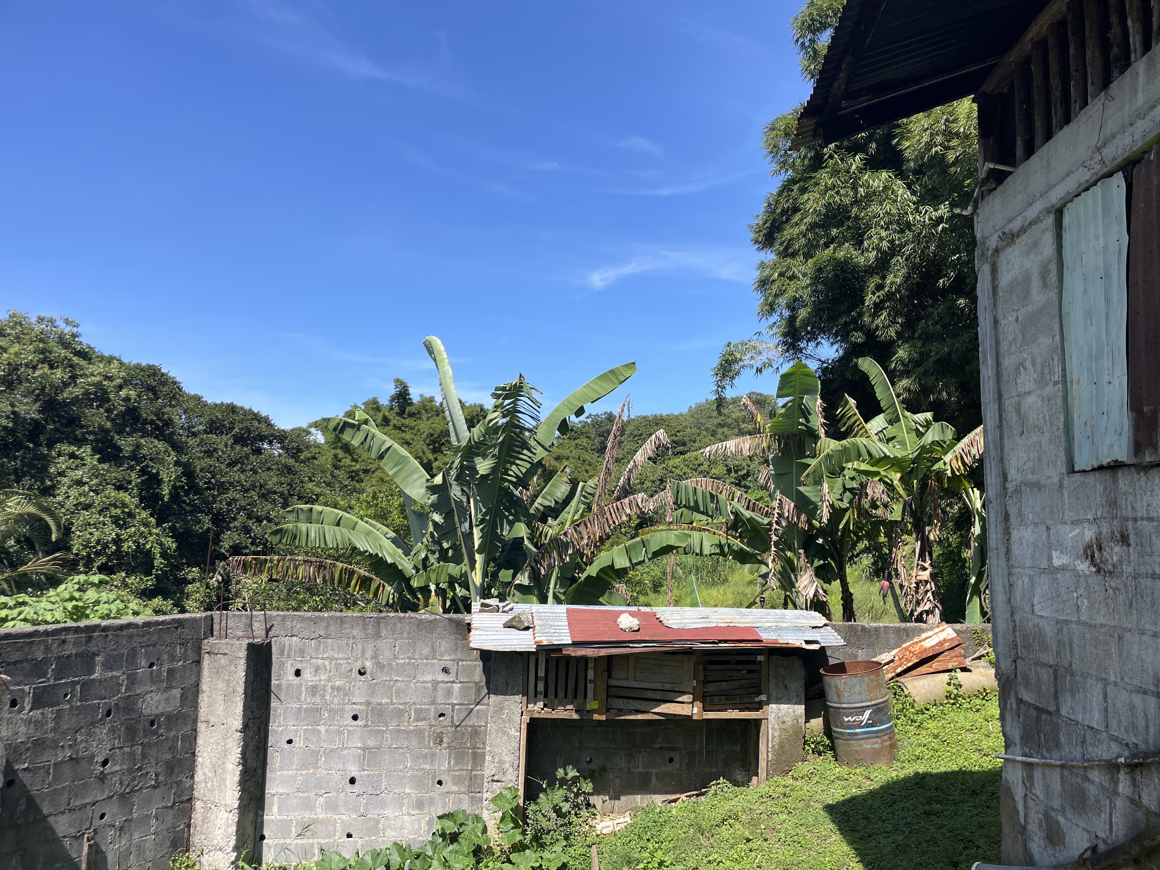 1 bed Land For Sale in Grecia, Alajuela - thumb 8