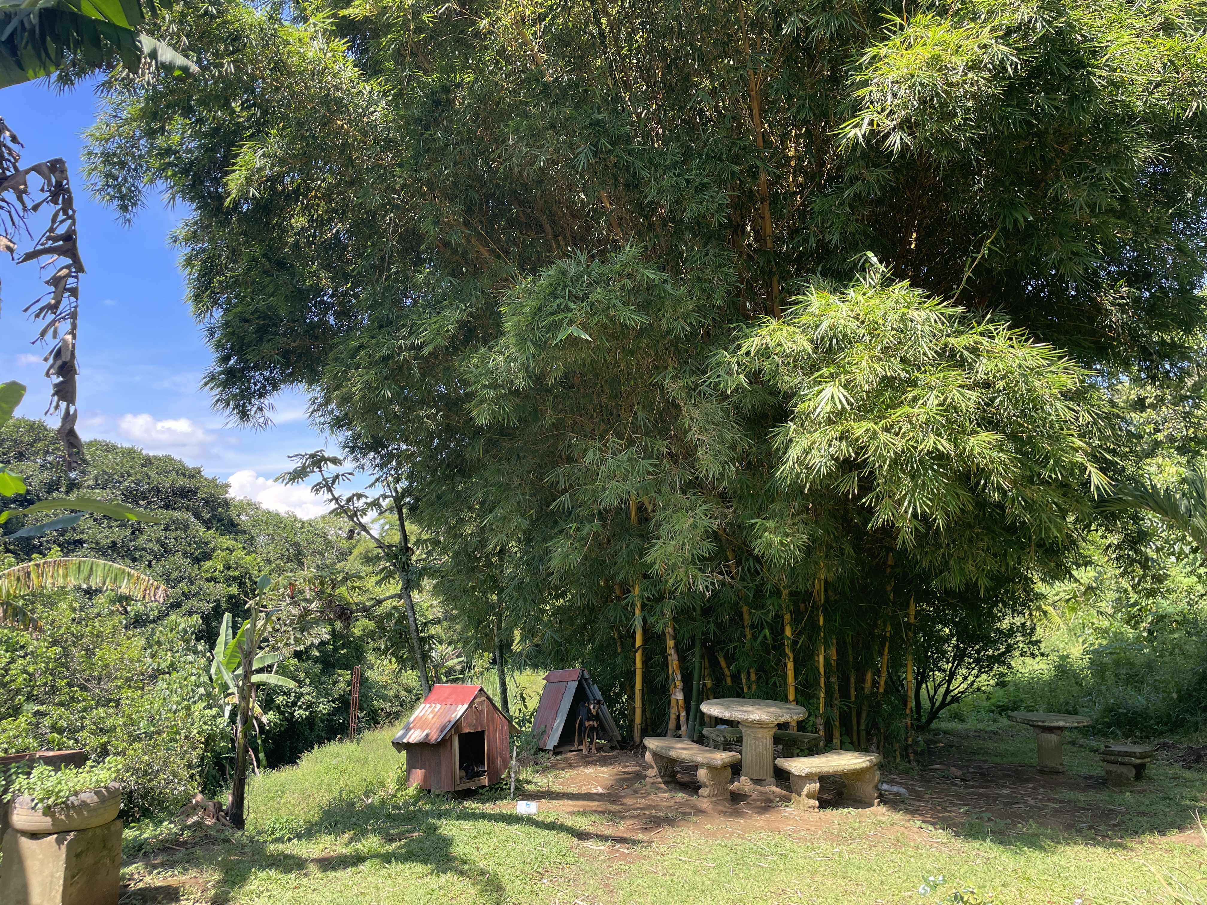 1 bed Land For Sale in Grecia, Alajuela - thumb 9