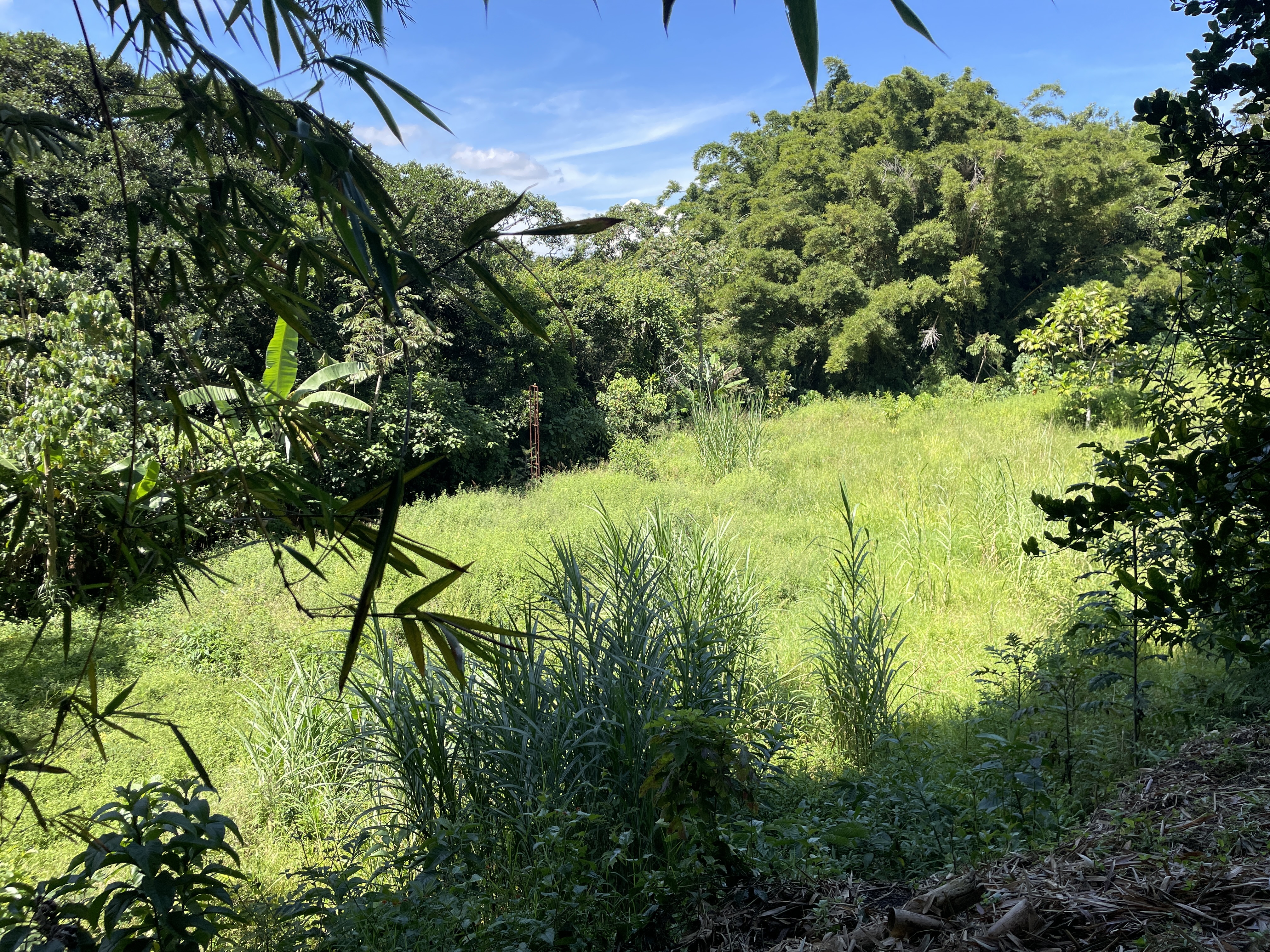 1 bed Land For Sale in Grecia, Alajuela - thumb 16