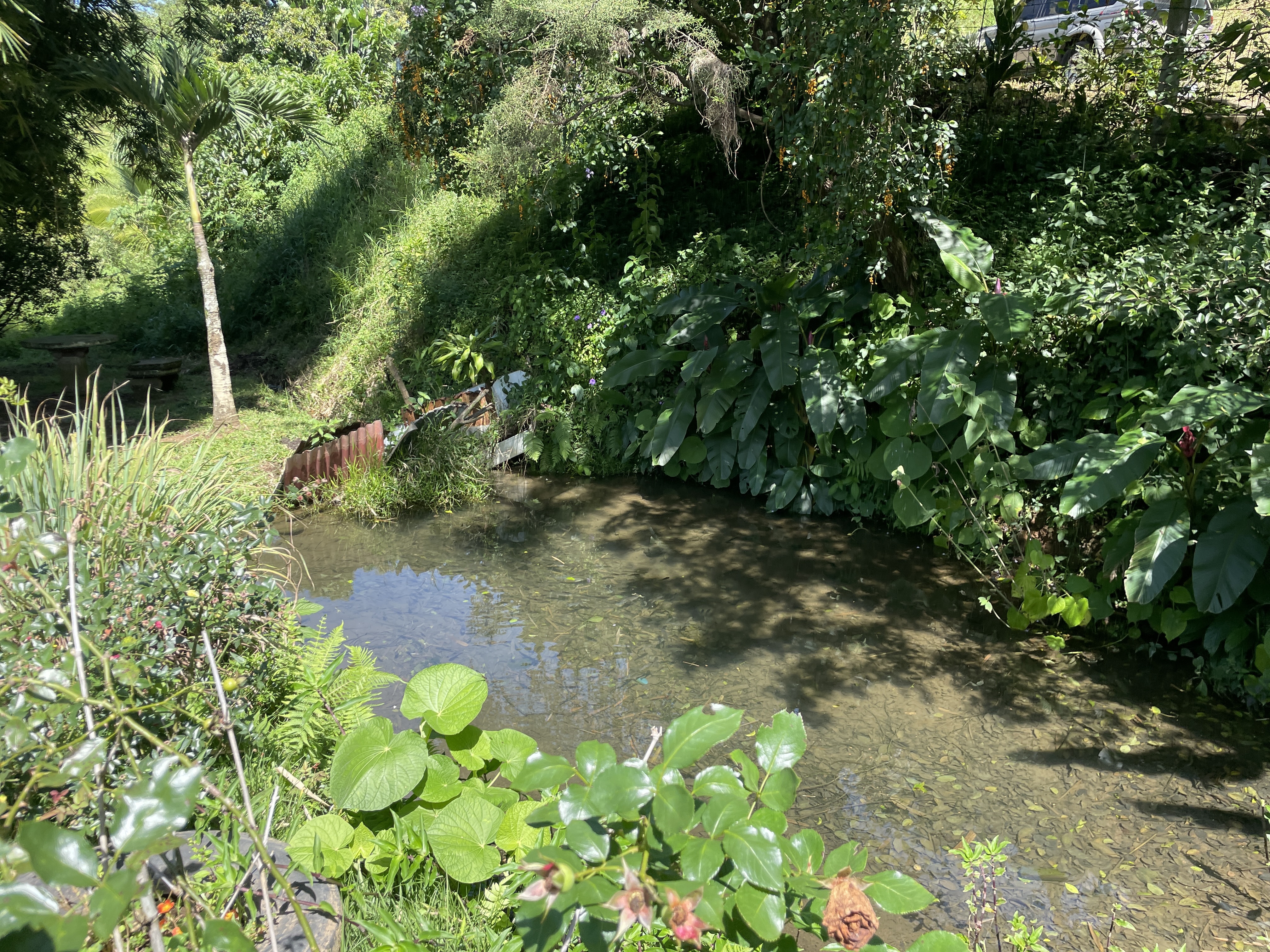 1 bed Land For Sale in Grecia, Alajuela - thumb 6