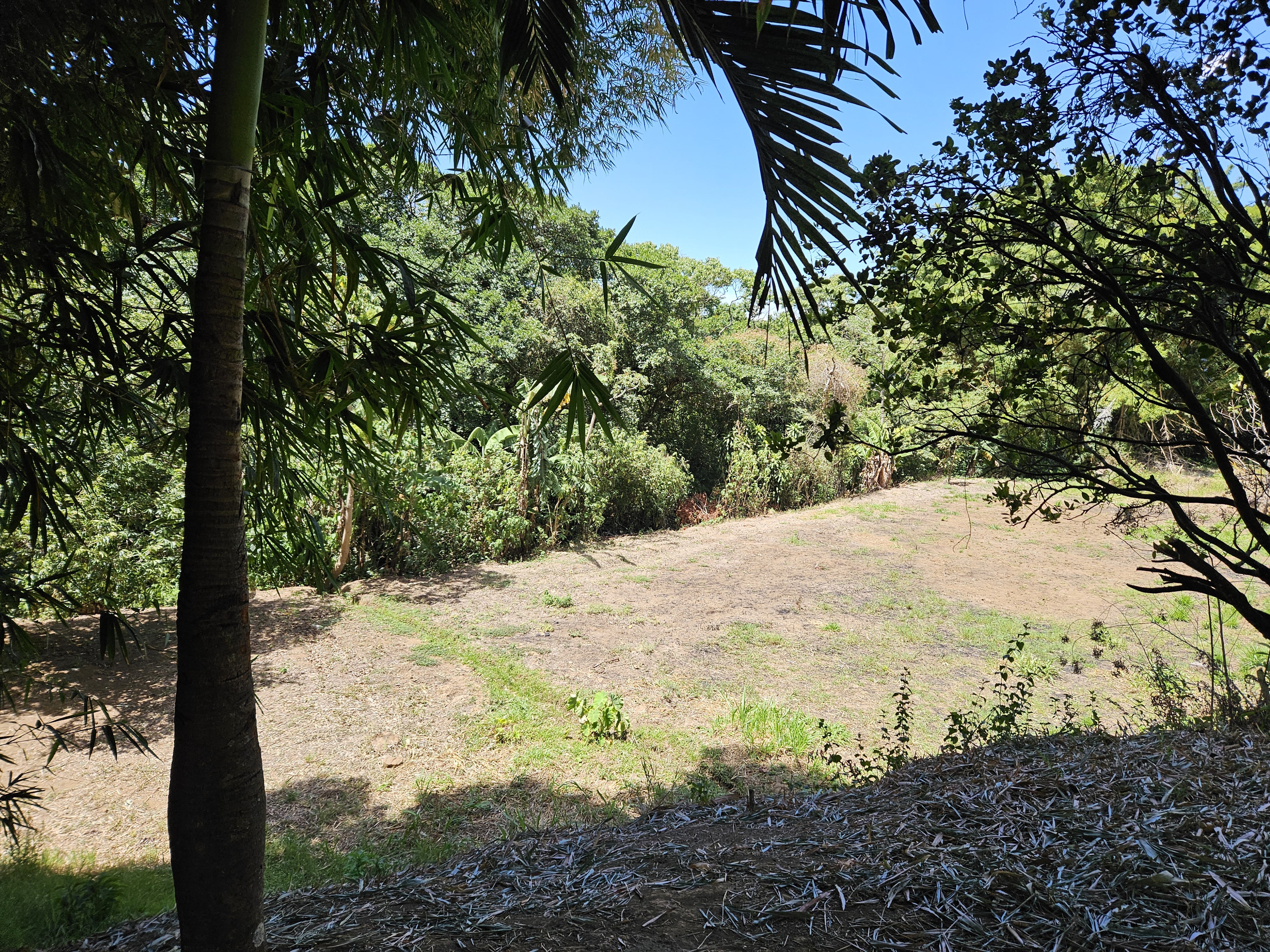 1 bed Land For Sale in Grecia, Alajuela - thumb 26