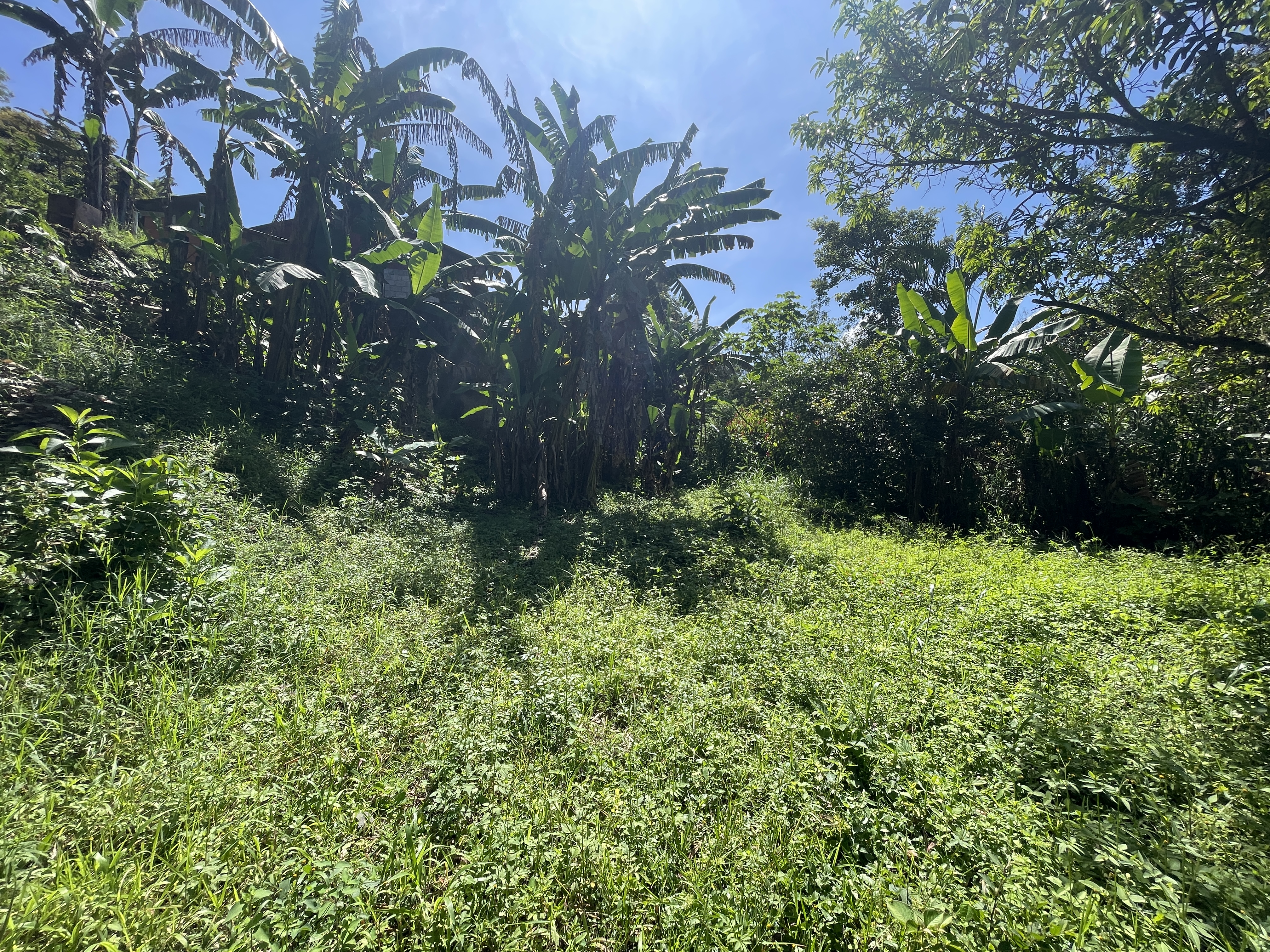 1 bed Land For Sale in Grecia, Alajuela - thumb 19