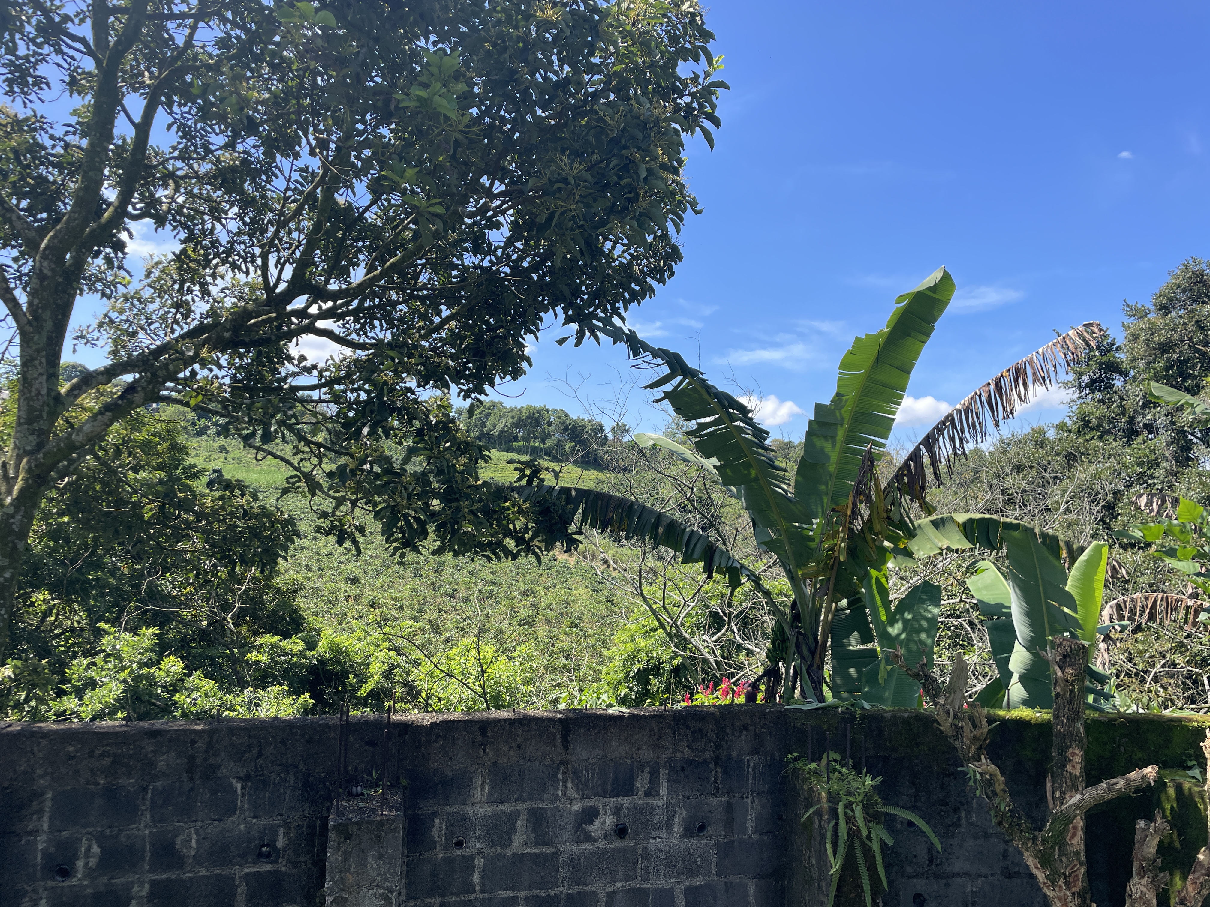 1 bed Land For Sale in Grecia, Alajuela - thumb 12