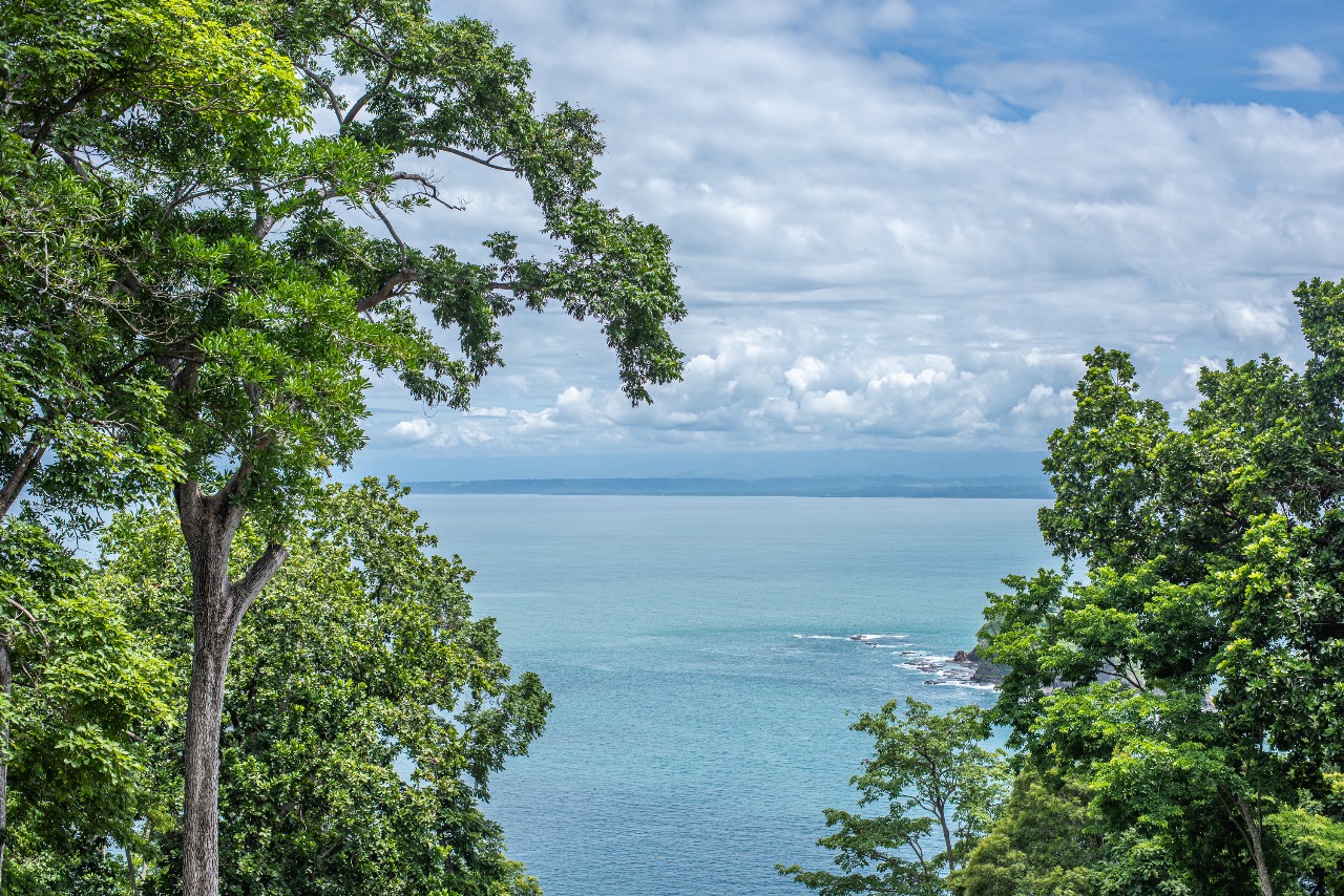 3 bed Single Family Homes For Sale in Tarcoles, Puntarenas - thumb 5