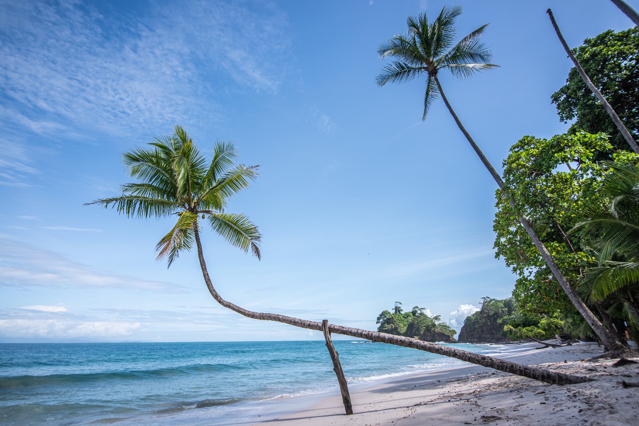 3 bed Single Family Homes For Sale in Tarcoles, Puntarenas - thumb 20