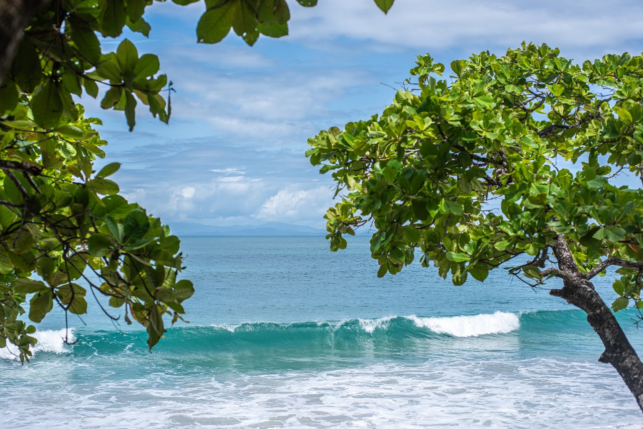 3 bed Single Family Homes For Sale in Tarcoles, Puntarenas - thumb 21