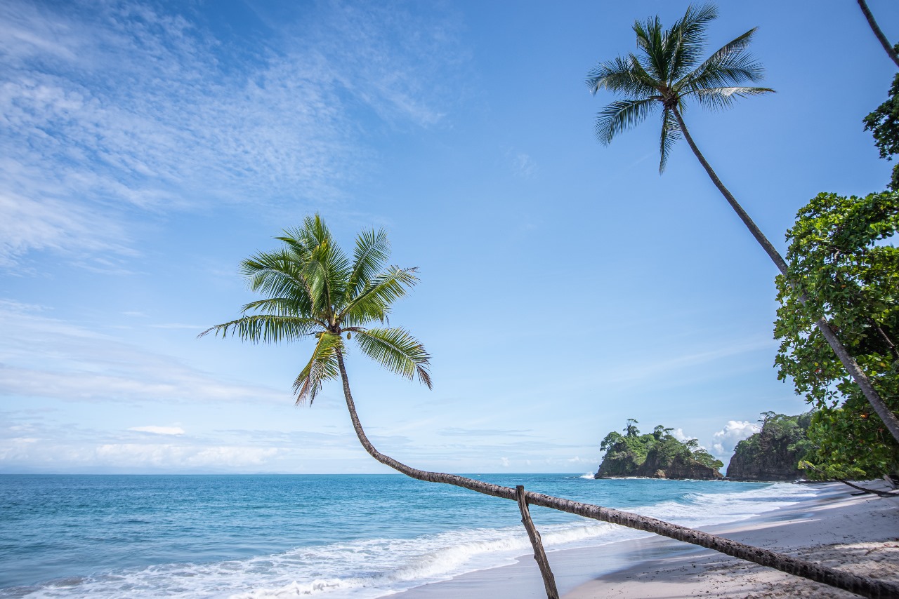 3 bed Single Family Homes For Sale in Tarcoles, Puntarenas - thumb 15