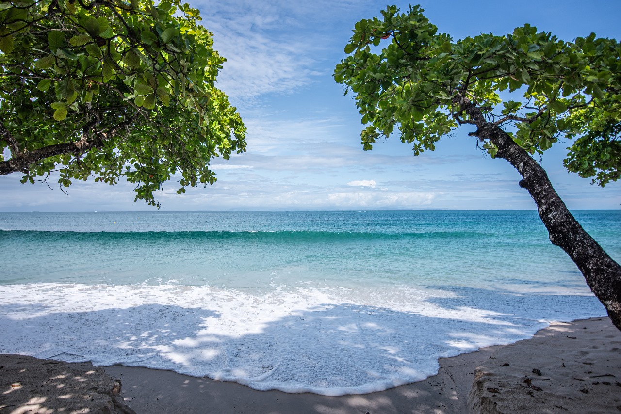 3 bed Single Family Homes For Sale in Tarcoles, Puntarenas - thumb 2