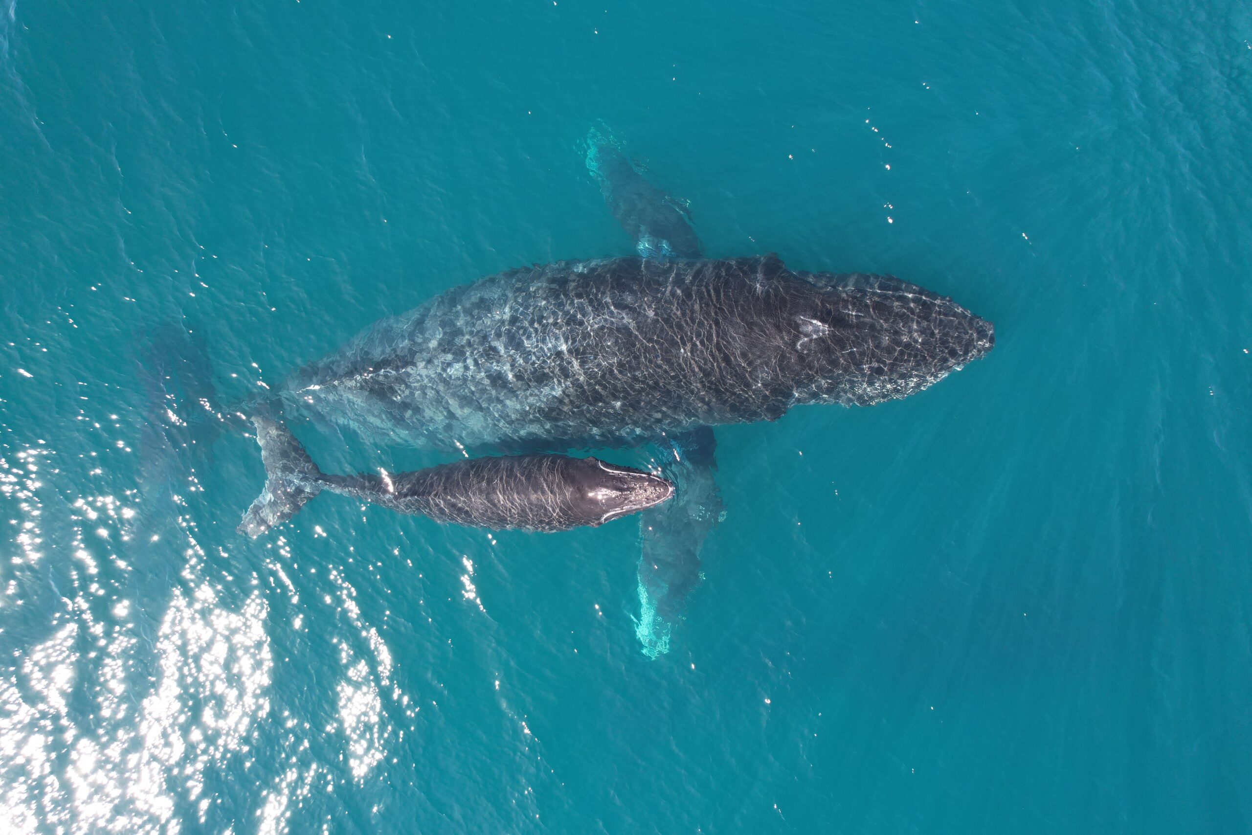 0 bed Land For Sale in Ojochal, Puntarenas - thumb 4