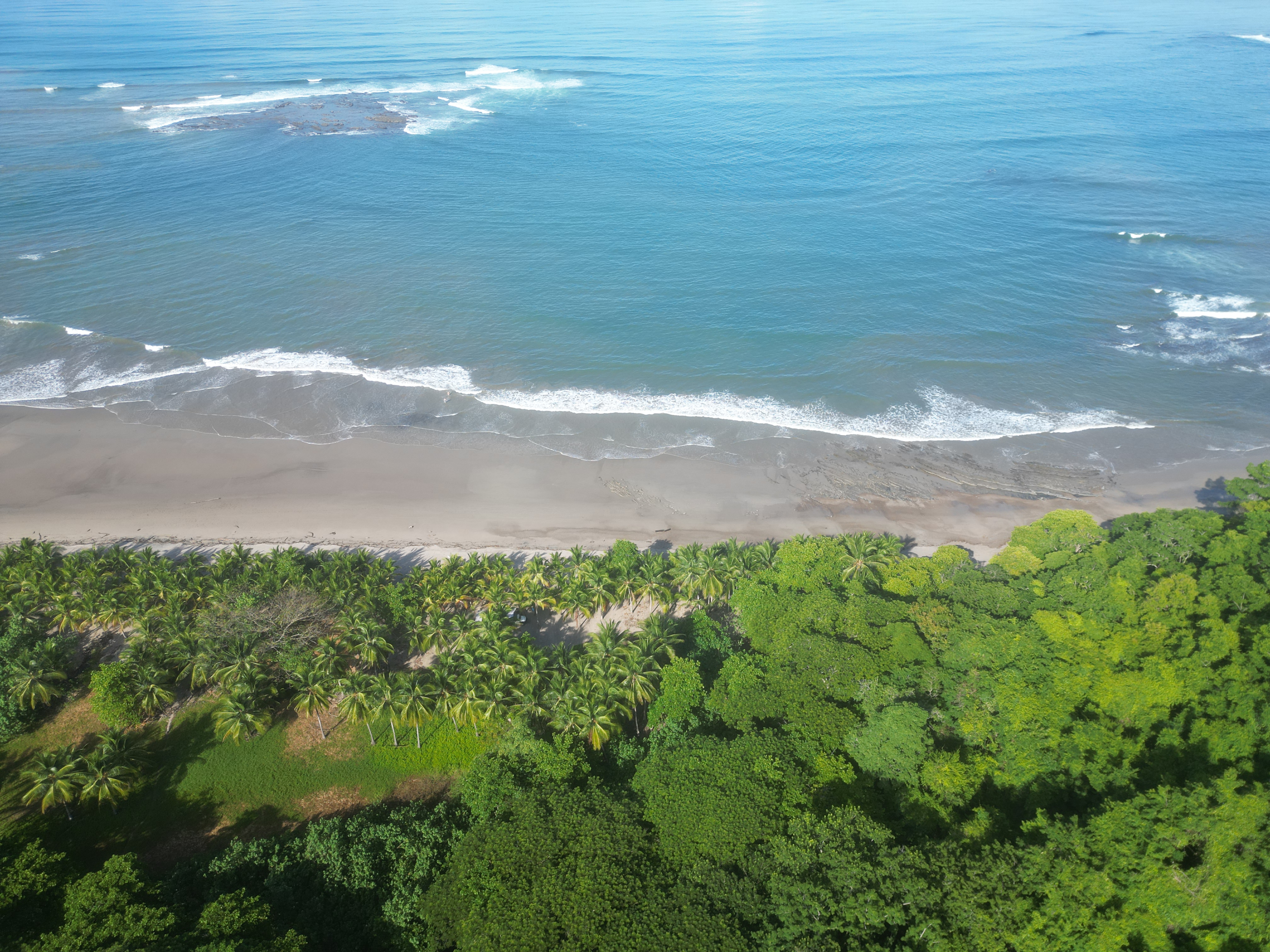2 bed Land For Sale in Manzanillo, Puntarenas - thumb 3
