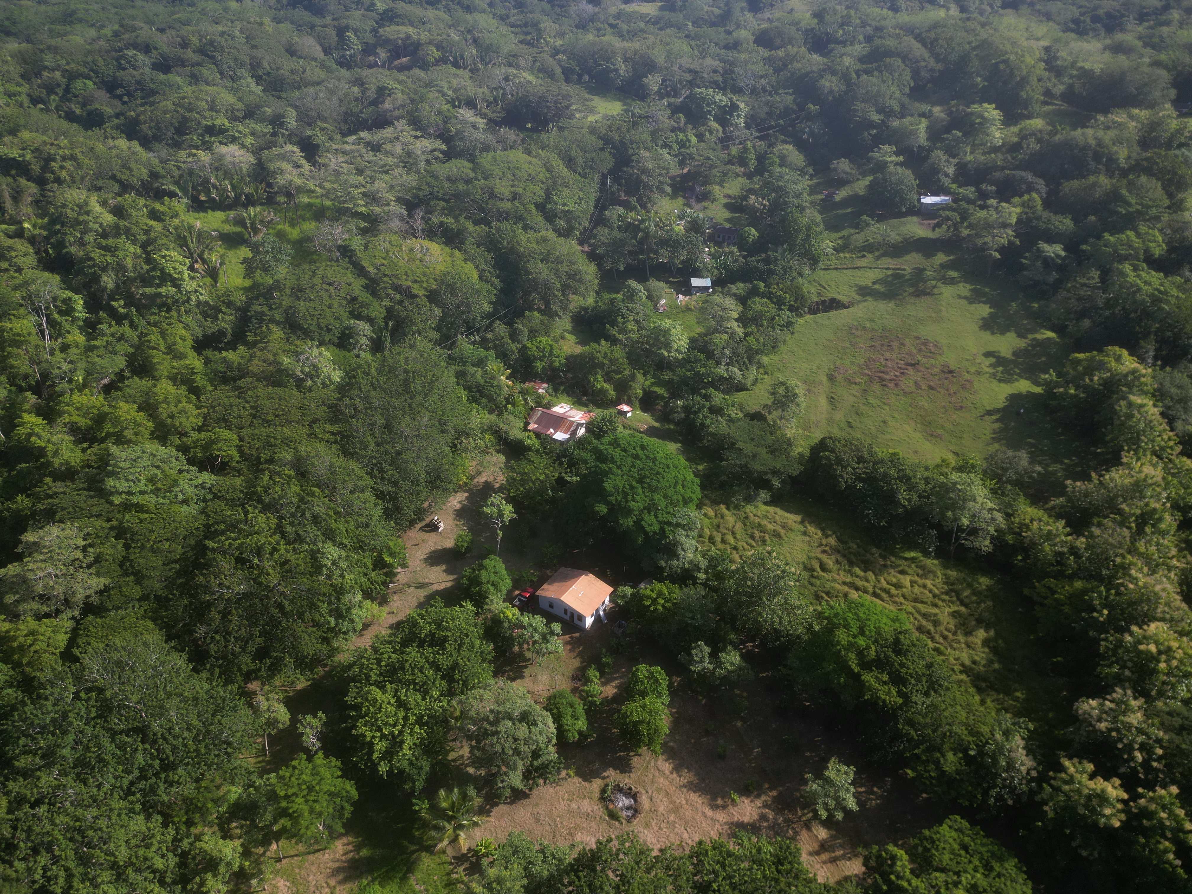 2 bed Land For Sale in Manzanillo, Puntarenas - thumb 12