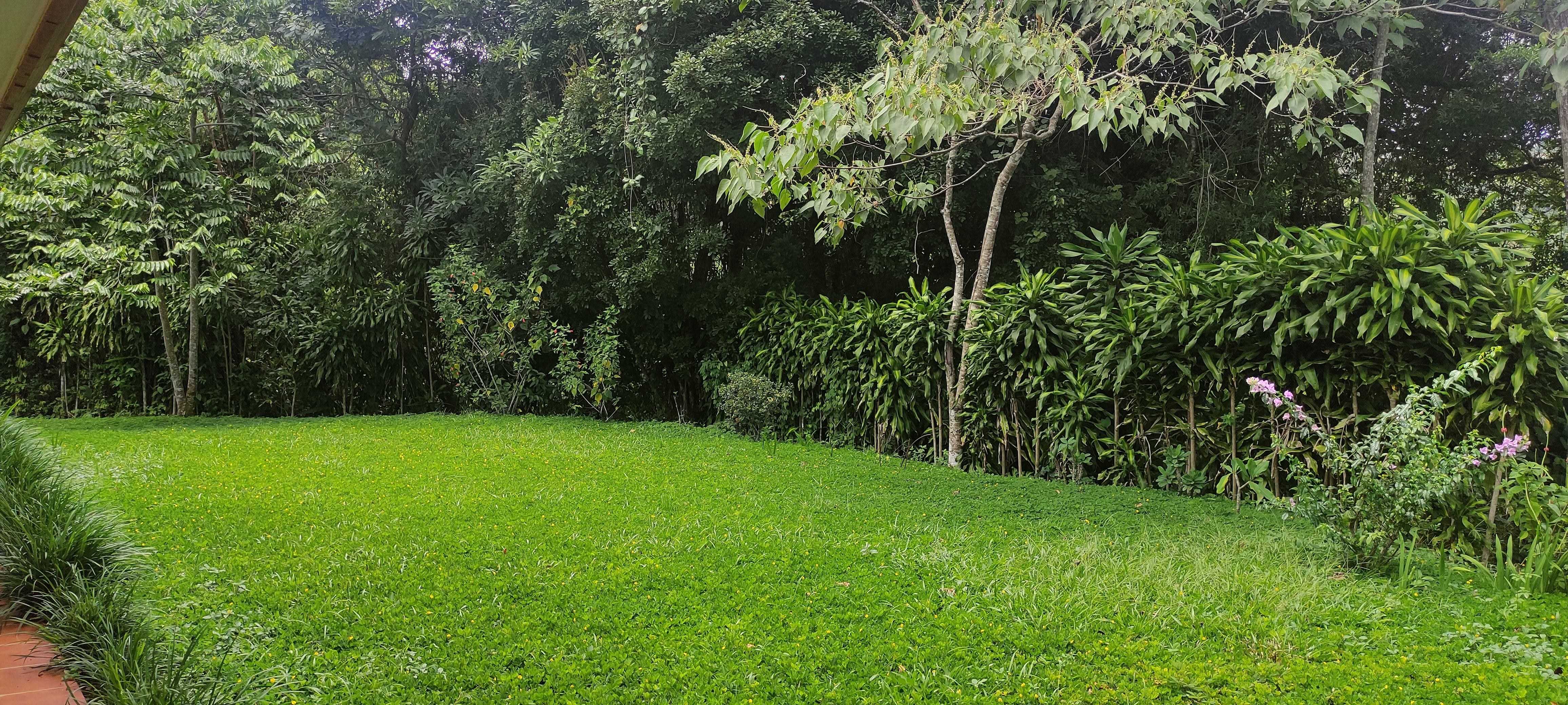 2 bed Single Family Homes For Sale in Puriscal, San Jose - thumb 30