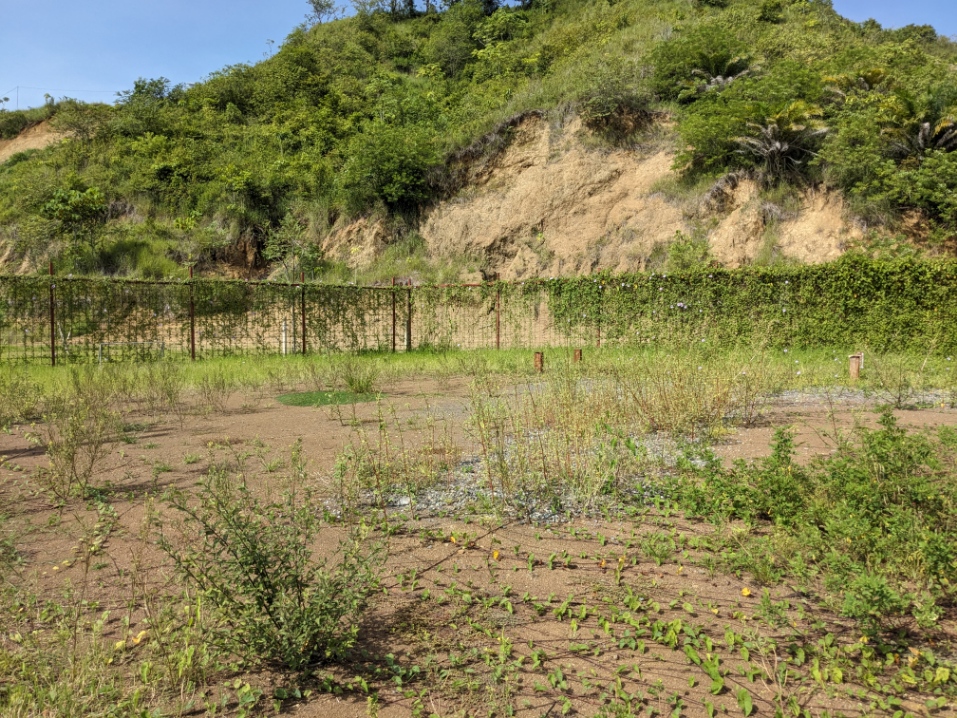 0 bed Land For Sale in Jaco, Puntarenas - thumb 2