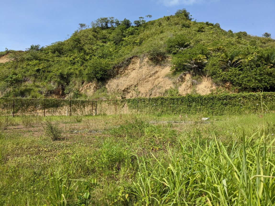 0 bed Land For Sale in Jaco, Puntarenas - thumb 1