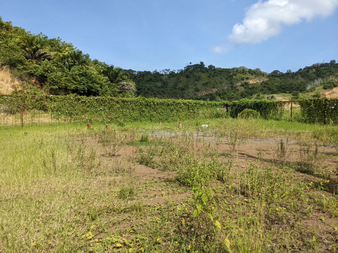 0 bed Land For Sale in Jaco, Puntarenas - thumb 3