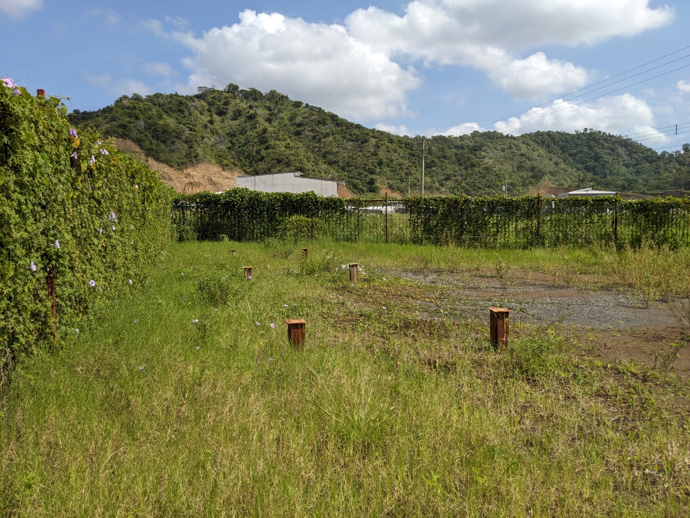 0 bed Land For Sale in Jaco, Puntarenas - thumb 6