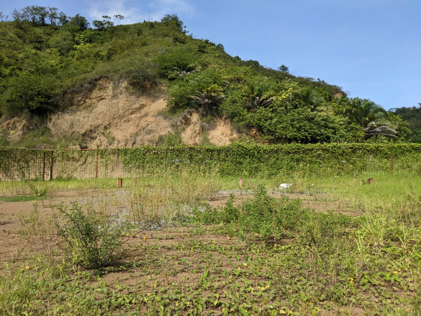 0 bed Land For Sale in Jaco, Puntarenas - thumb 7