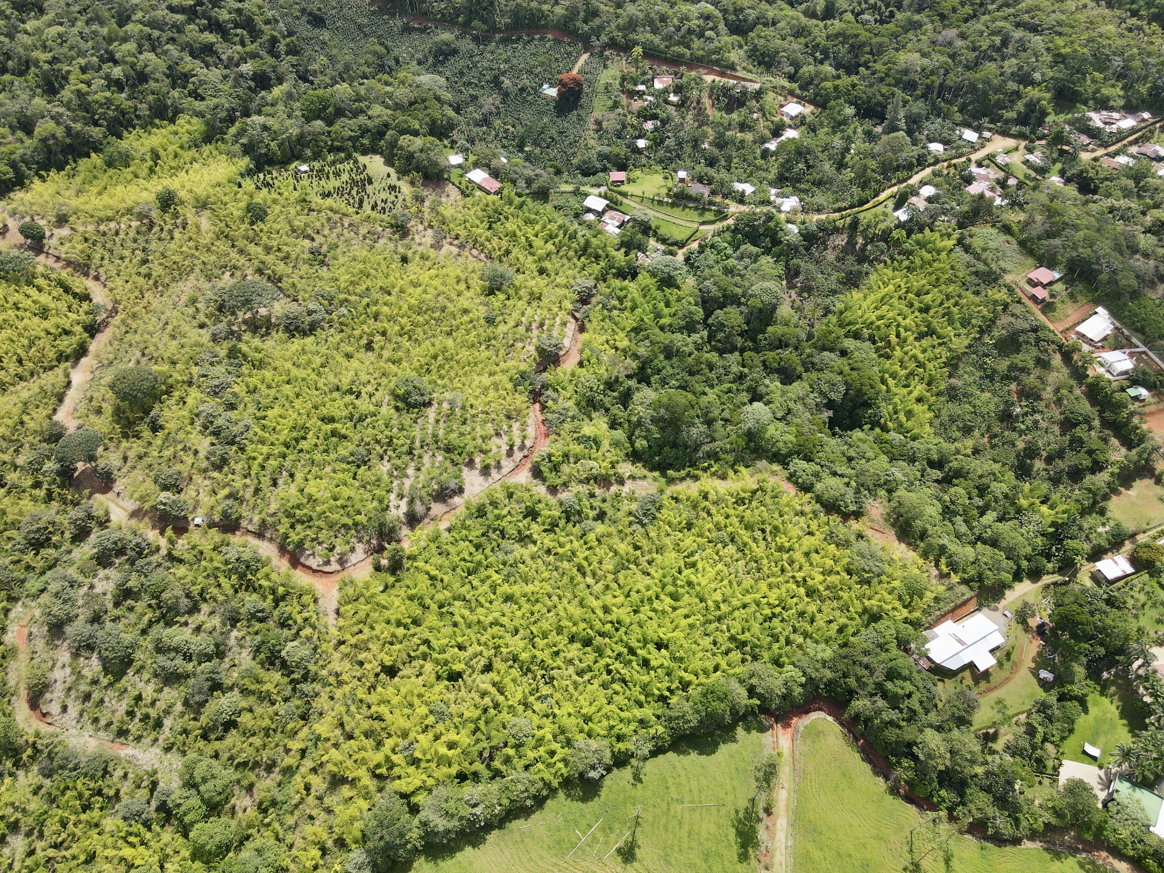 0 bed Land For Sale in Perez Zeledon, San Jose - thumb 4