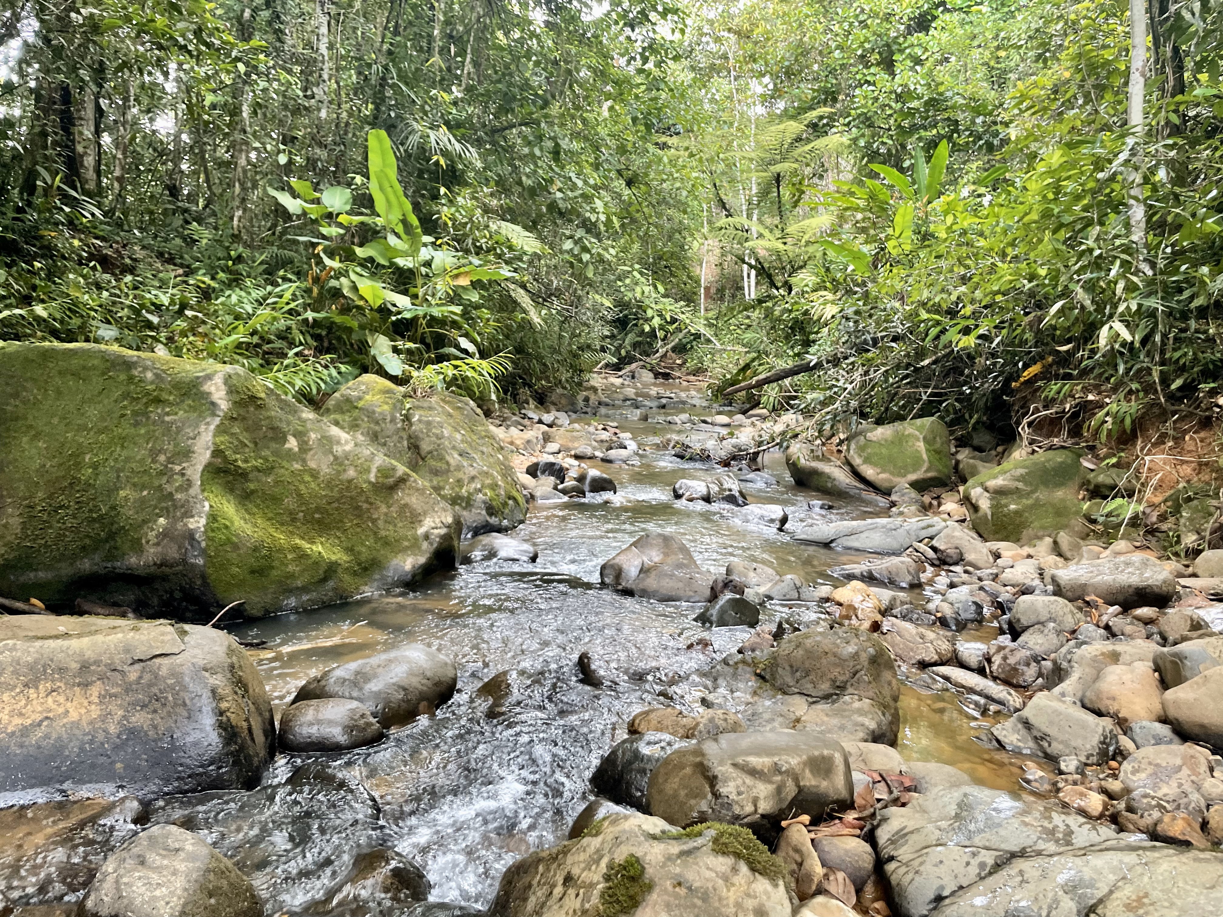 0 bed Land For Sale in Perez Zeledon, San Jose - thumb 17