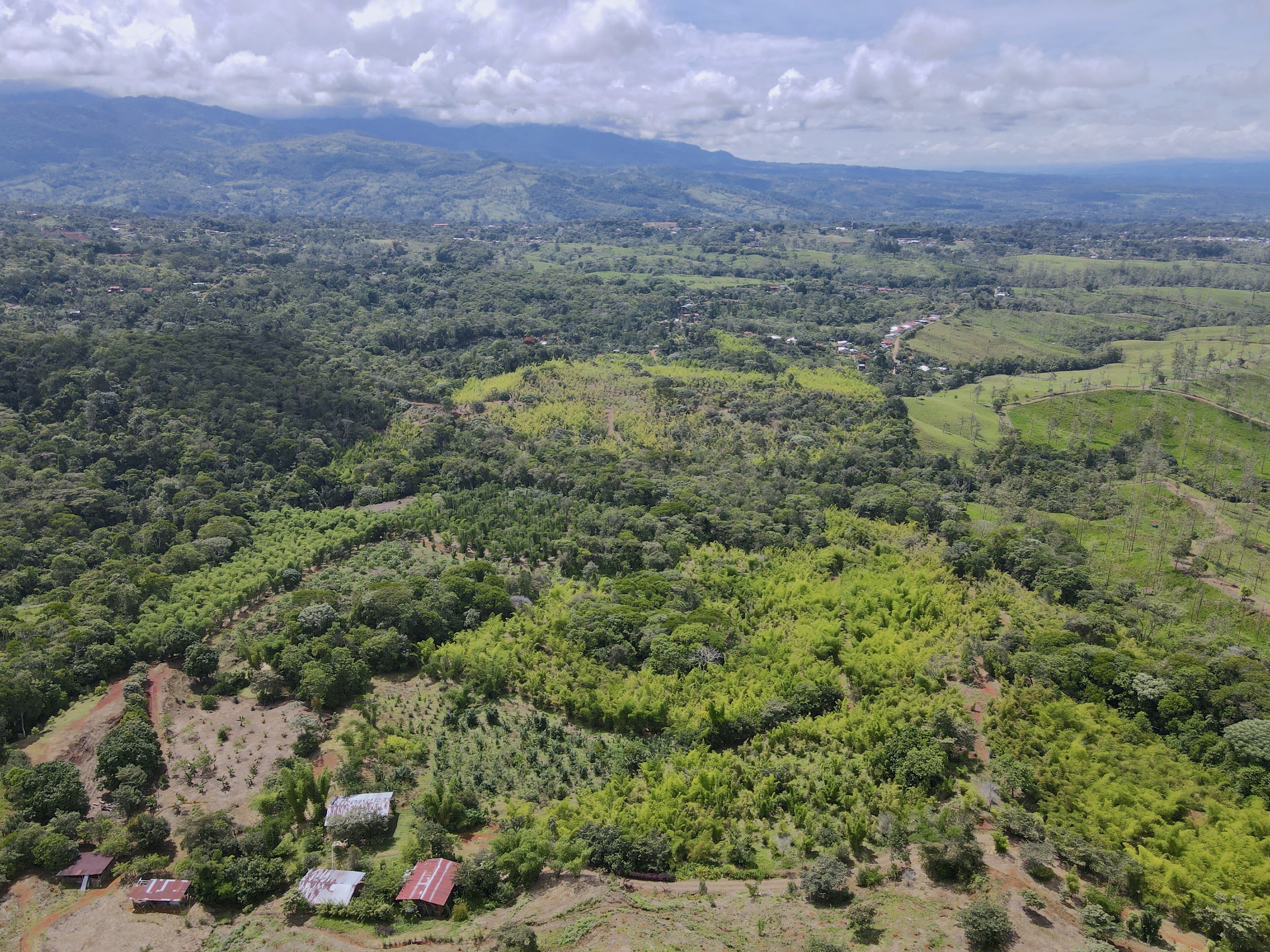 0 bed Land For Sale in Perez Zeledon, San Jose - thumb 26