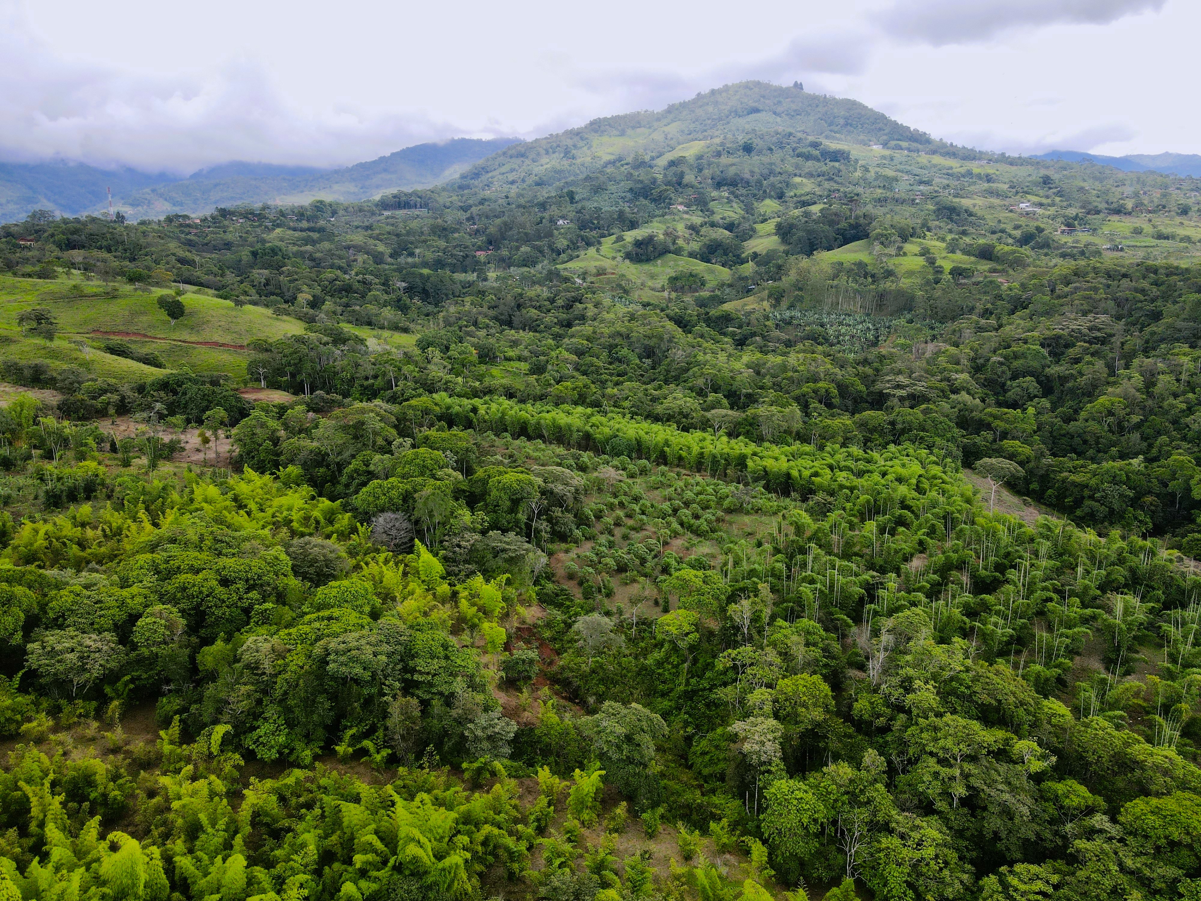 0 bed Land For Sale in Perez Zeledon, San Jose - thumb 1