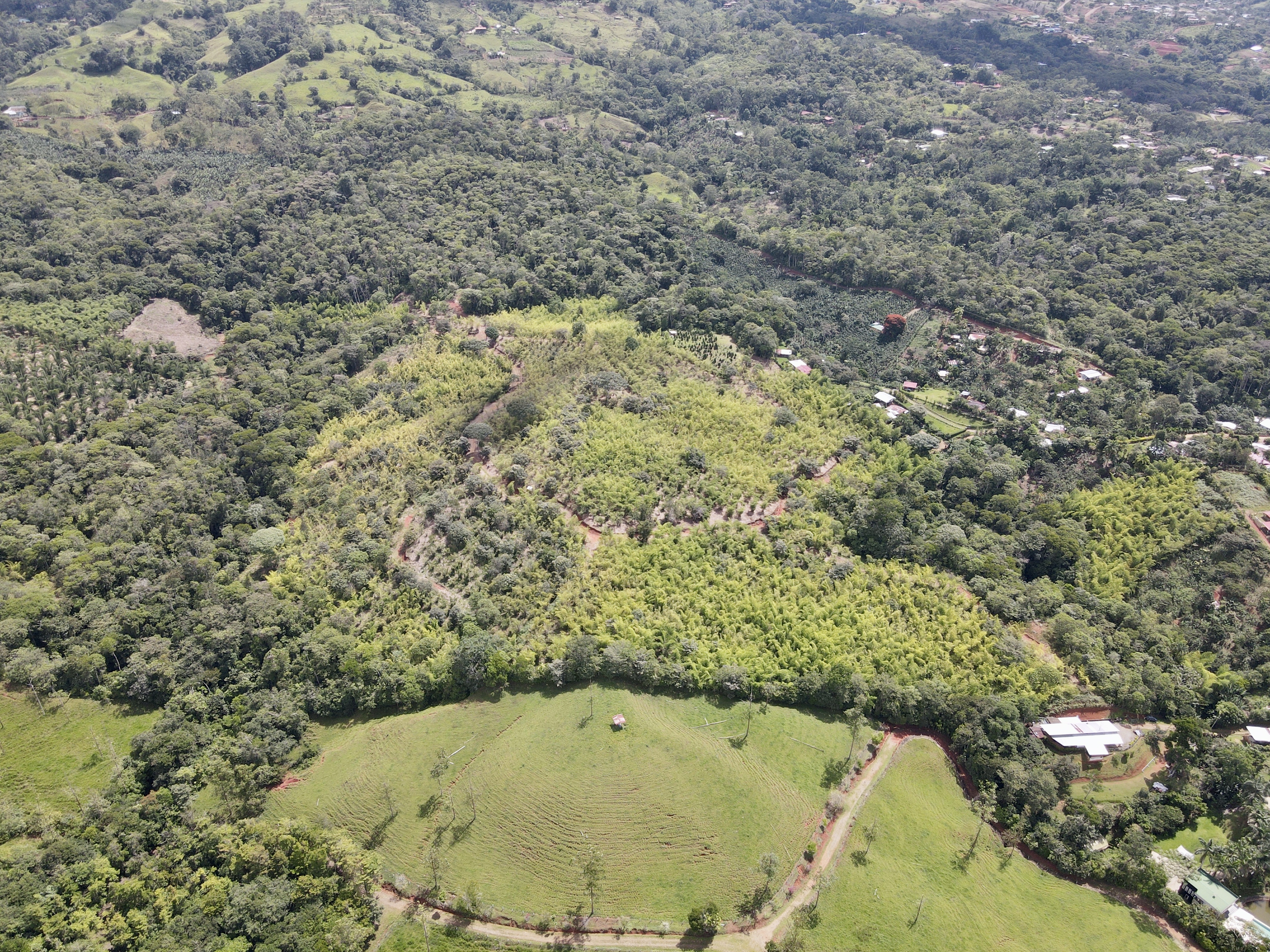 0 bed Land For Sale in Perez Zeledon, San Jose - thumb 3