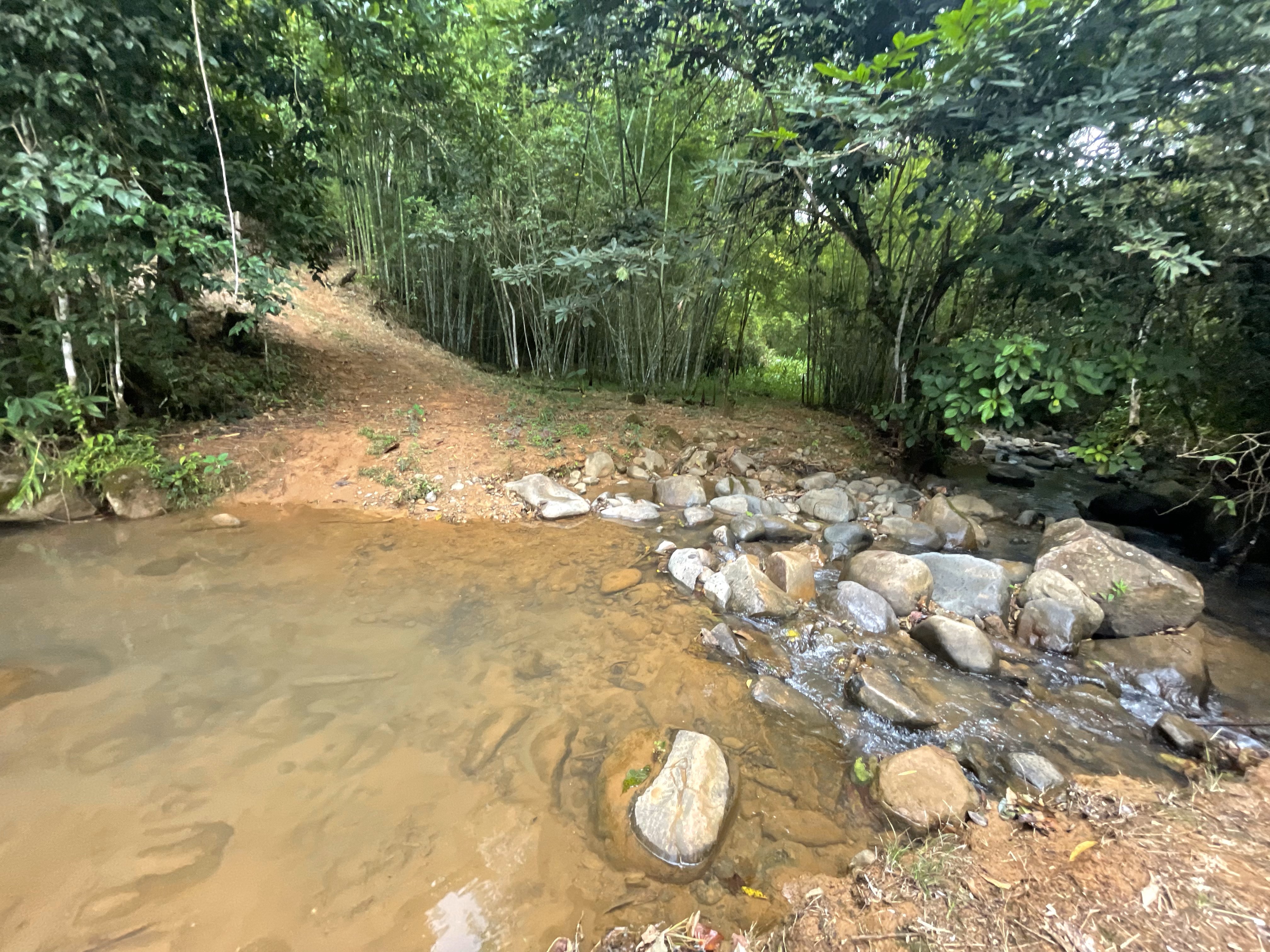 0 bed Land For Sale in Perez Zeledon, San Jose - thumb 21