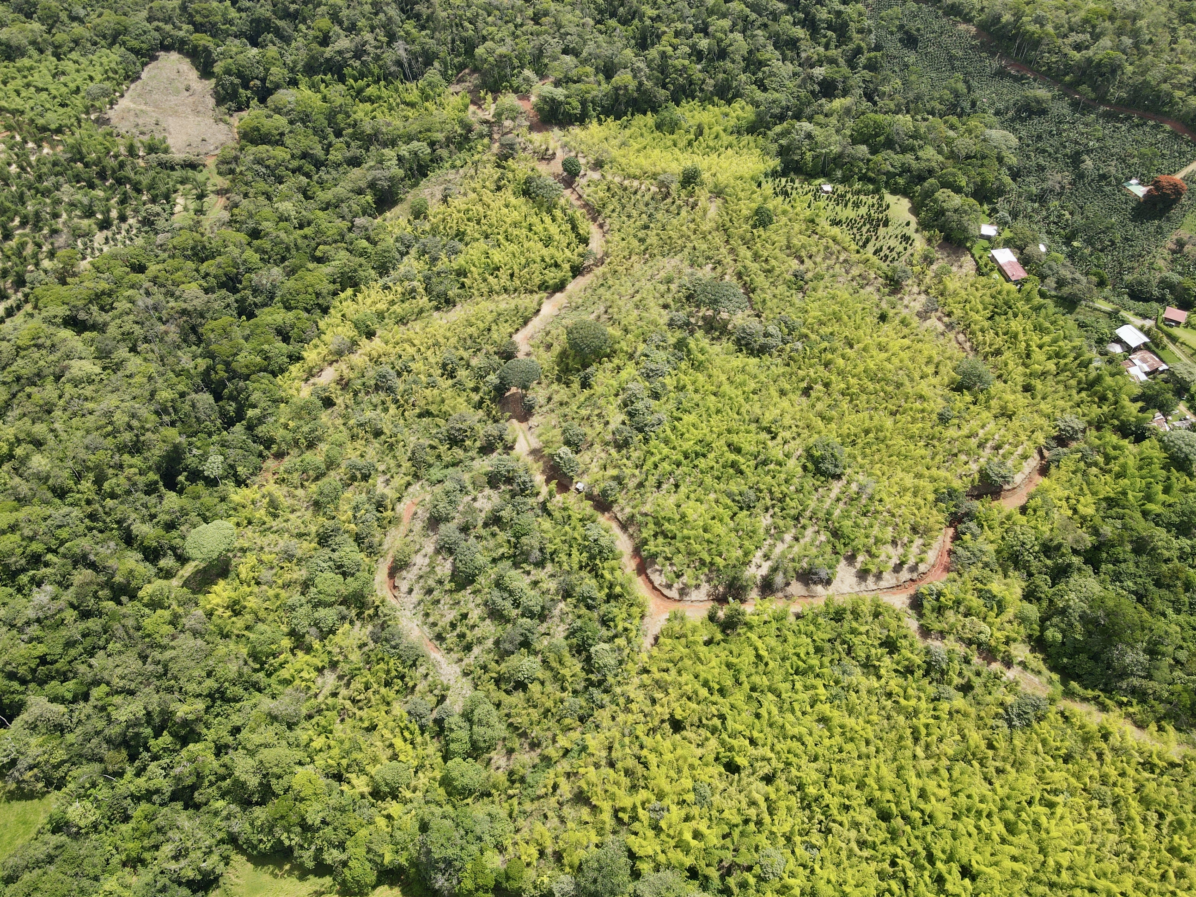 0 bed Land For Sale in Perez Zeledon, San Jose - thumb 5