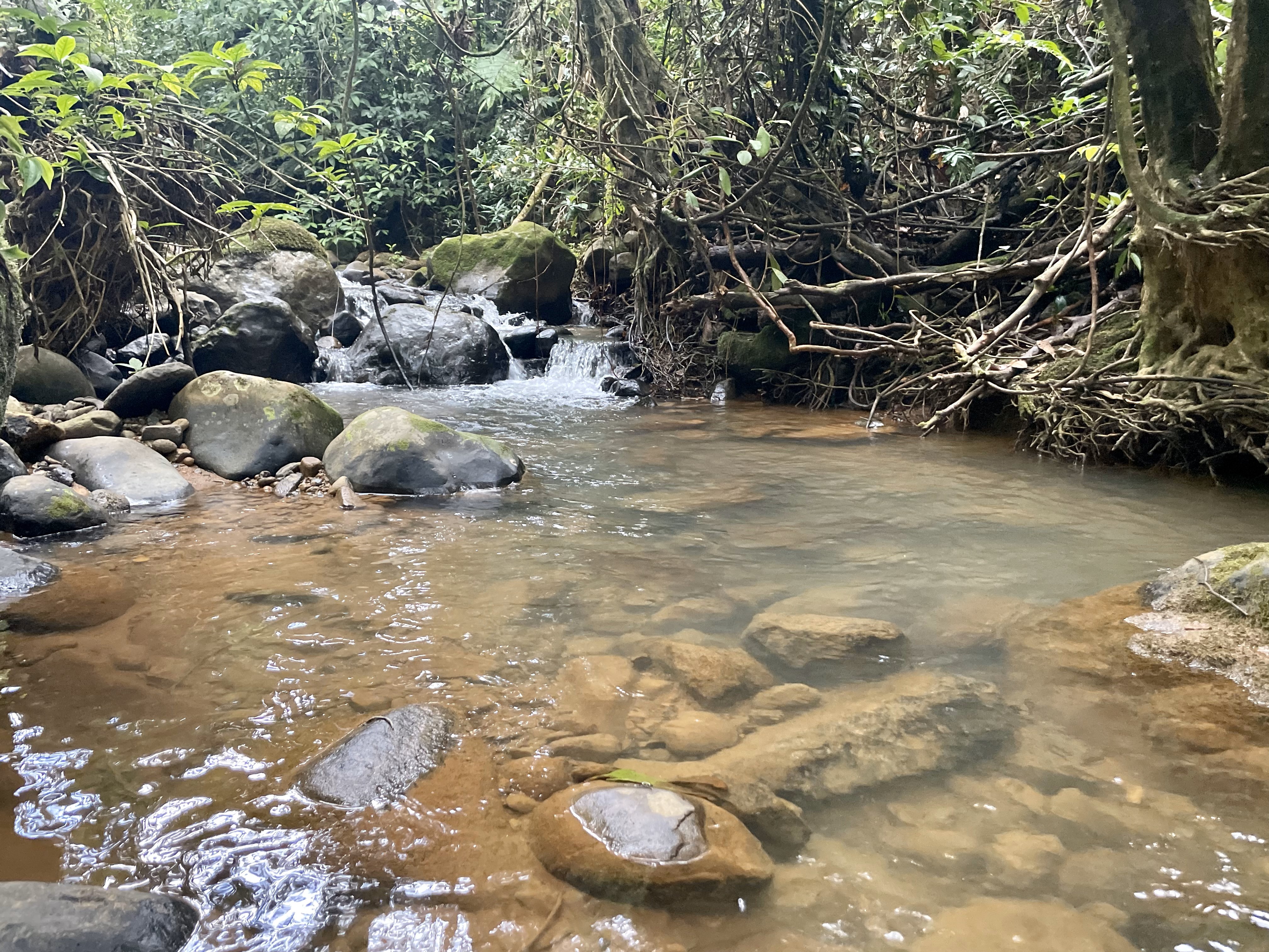 0 bed Land For Sale in Perez Zeledon, San Jose - thumb 16